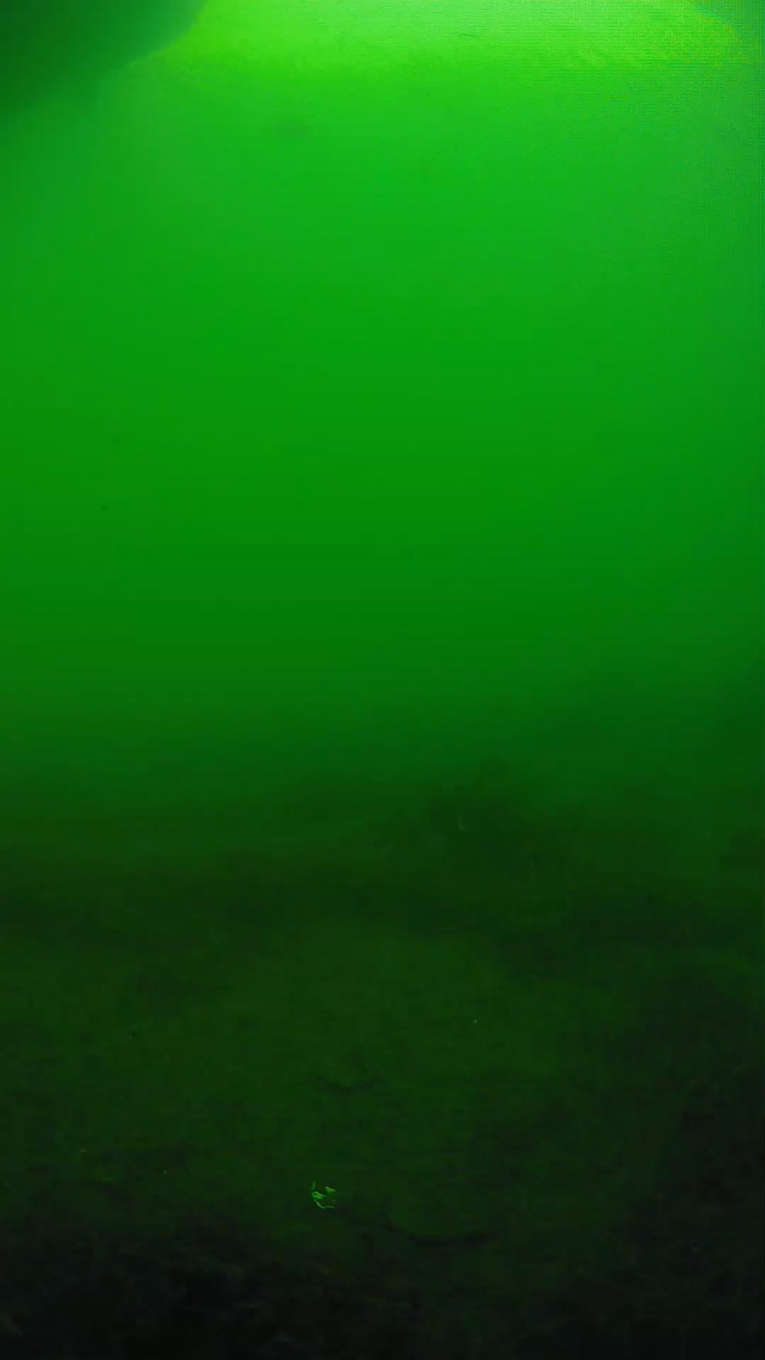lander_ipcam_20250604171649.png