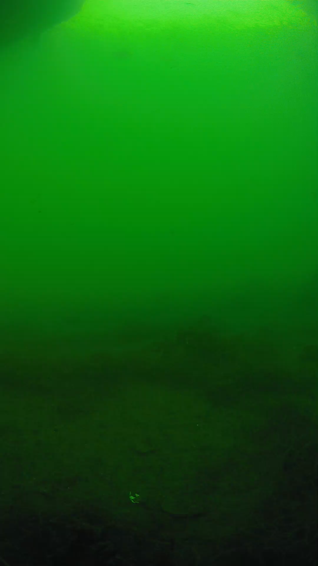 lander_ipcam_20250604171650.png