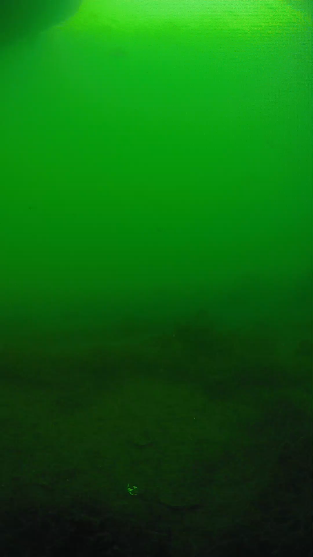 lander_ipcam_20250604171652.png
