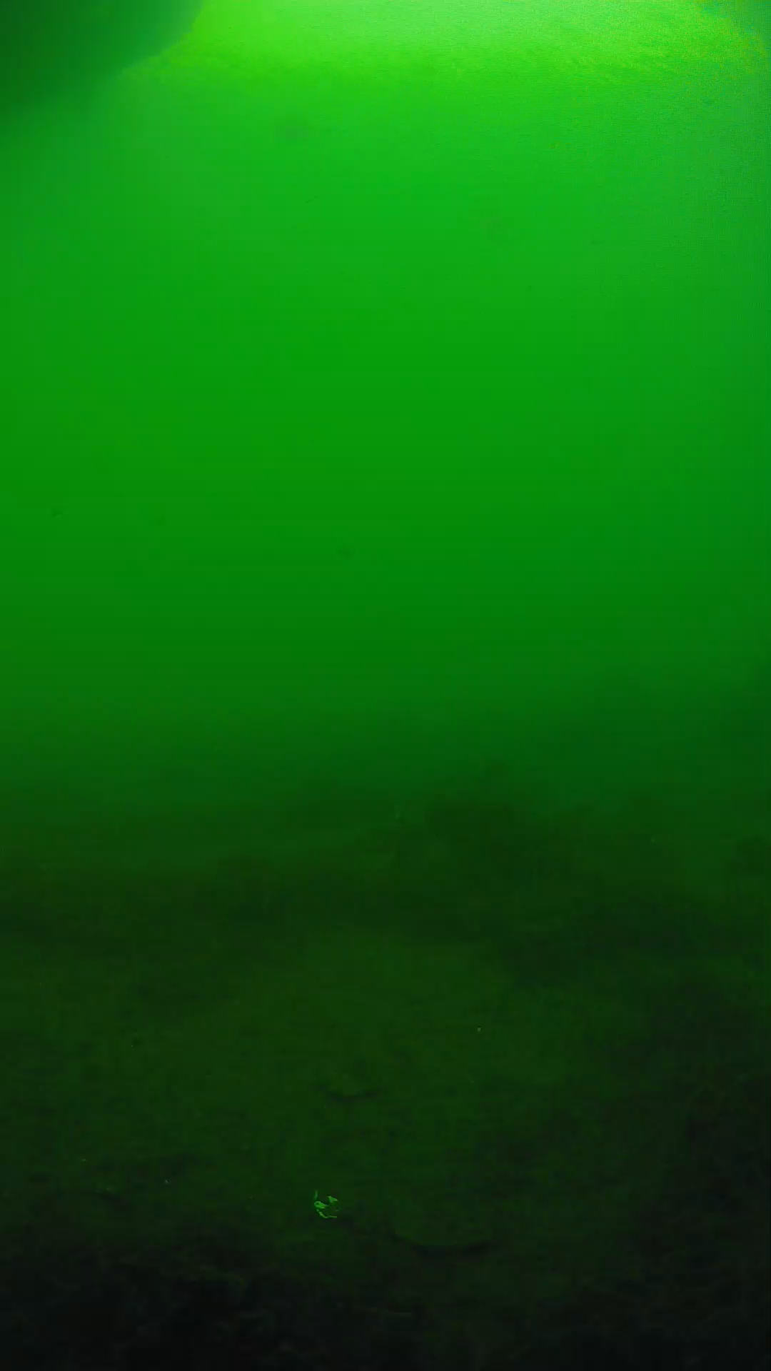 lander_ipcam_20250604171654.png