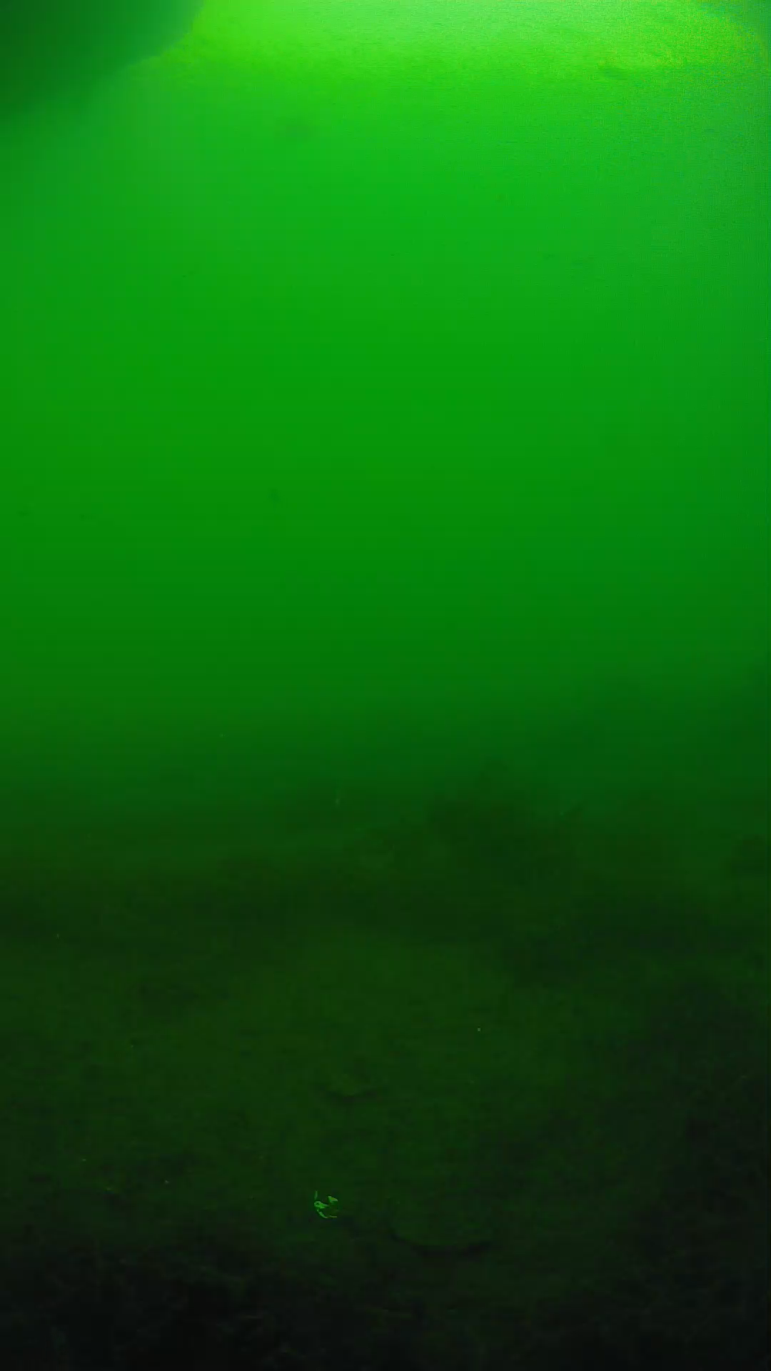 lander_ipcam_20250604171659.png