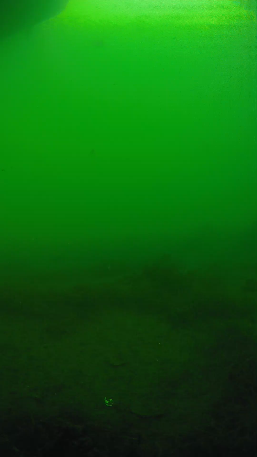 lander_ipcam_20250604171701.png
