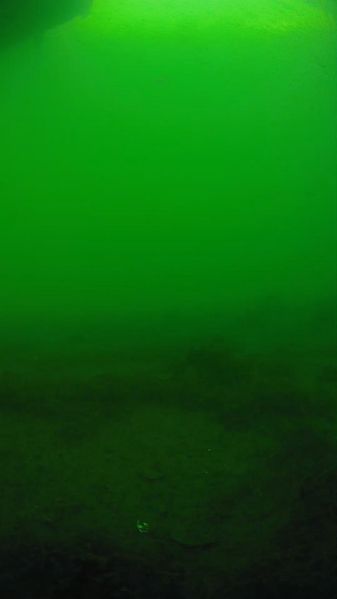 lander_ipcam_20250604173125.png