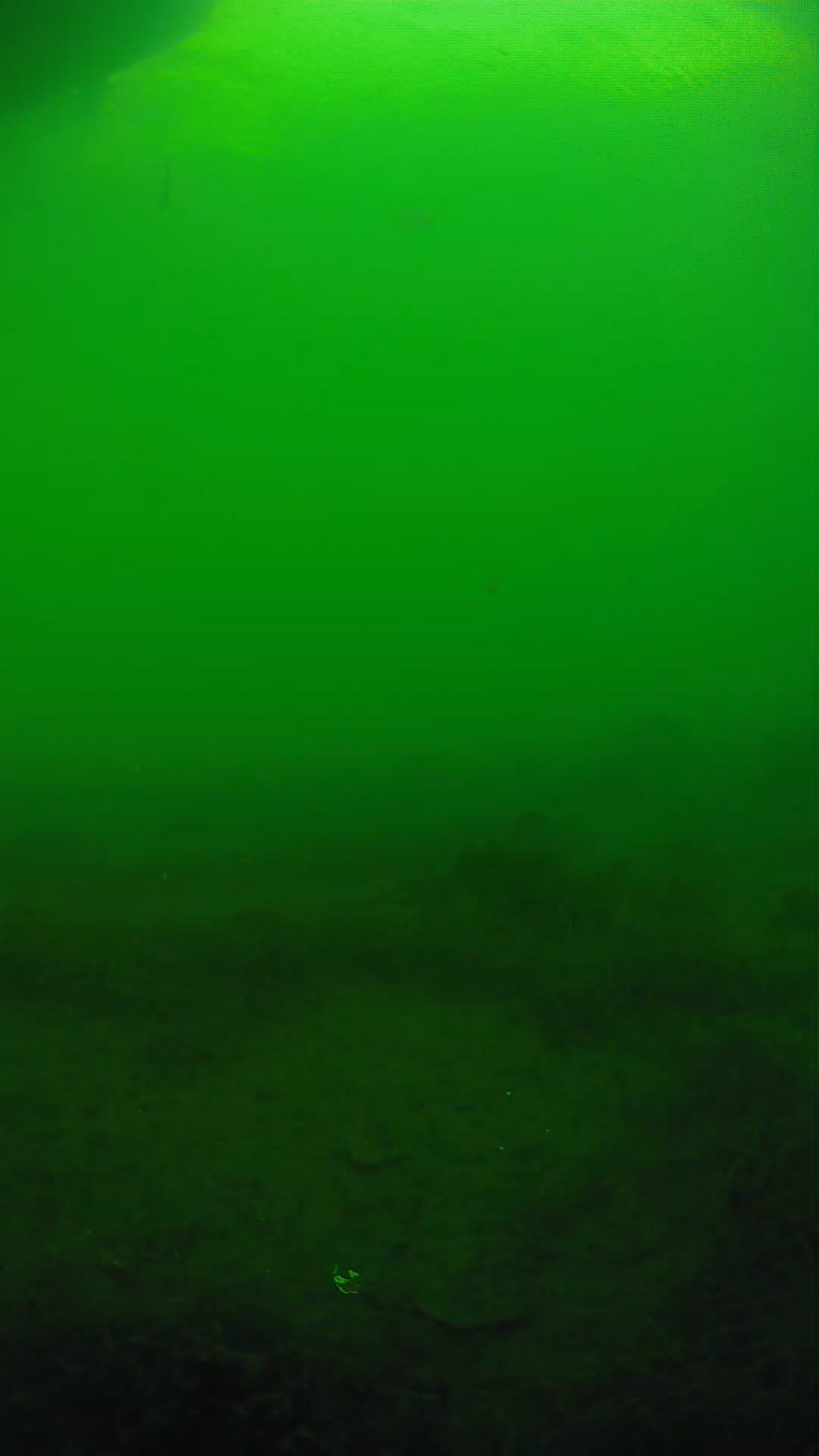 lander_ipcam_20250604173138.png