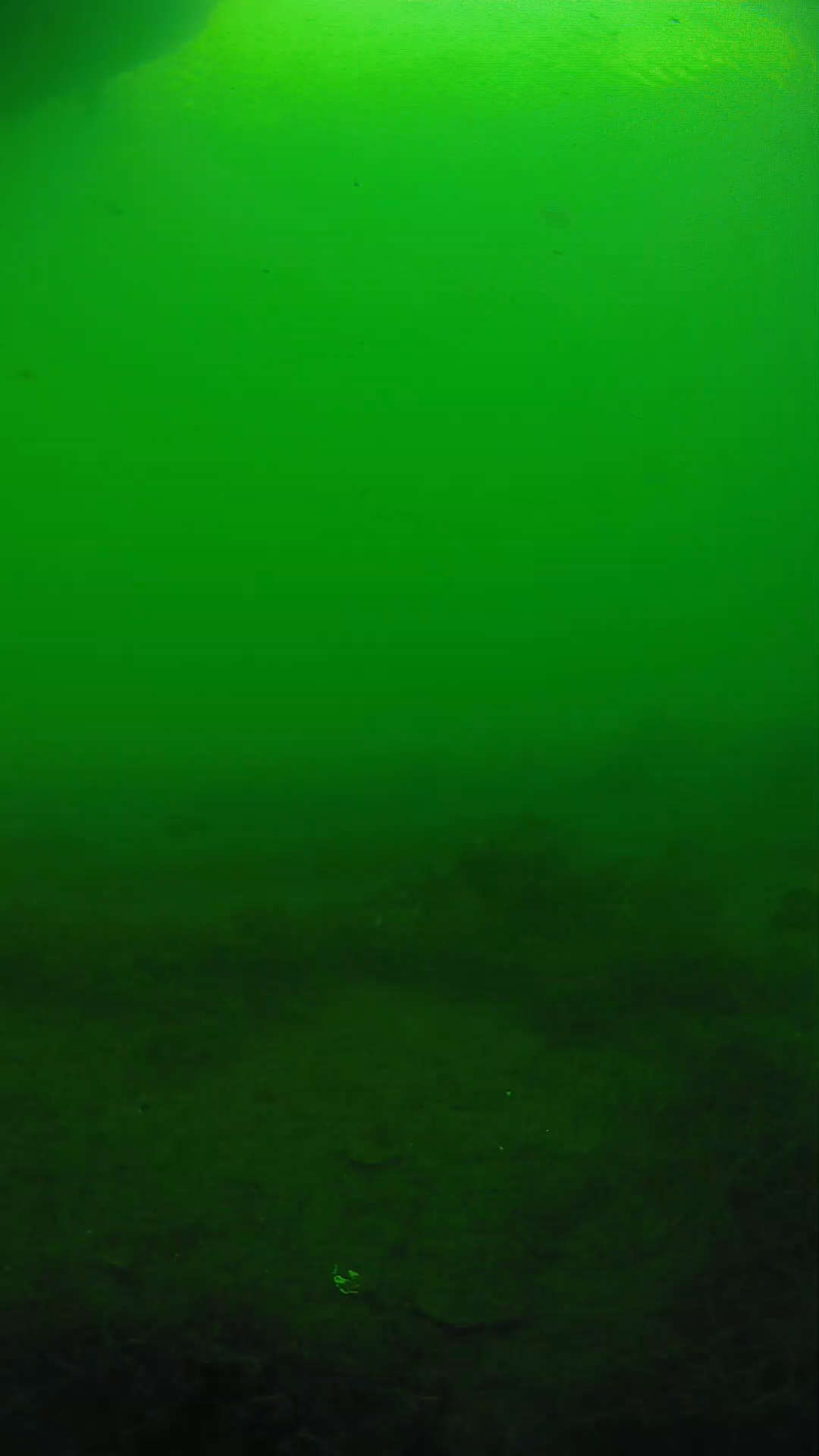 lander_ipcam_20250604173151.png