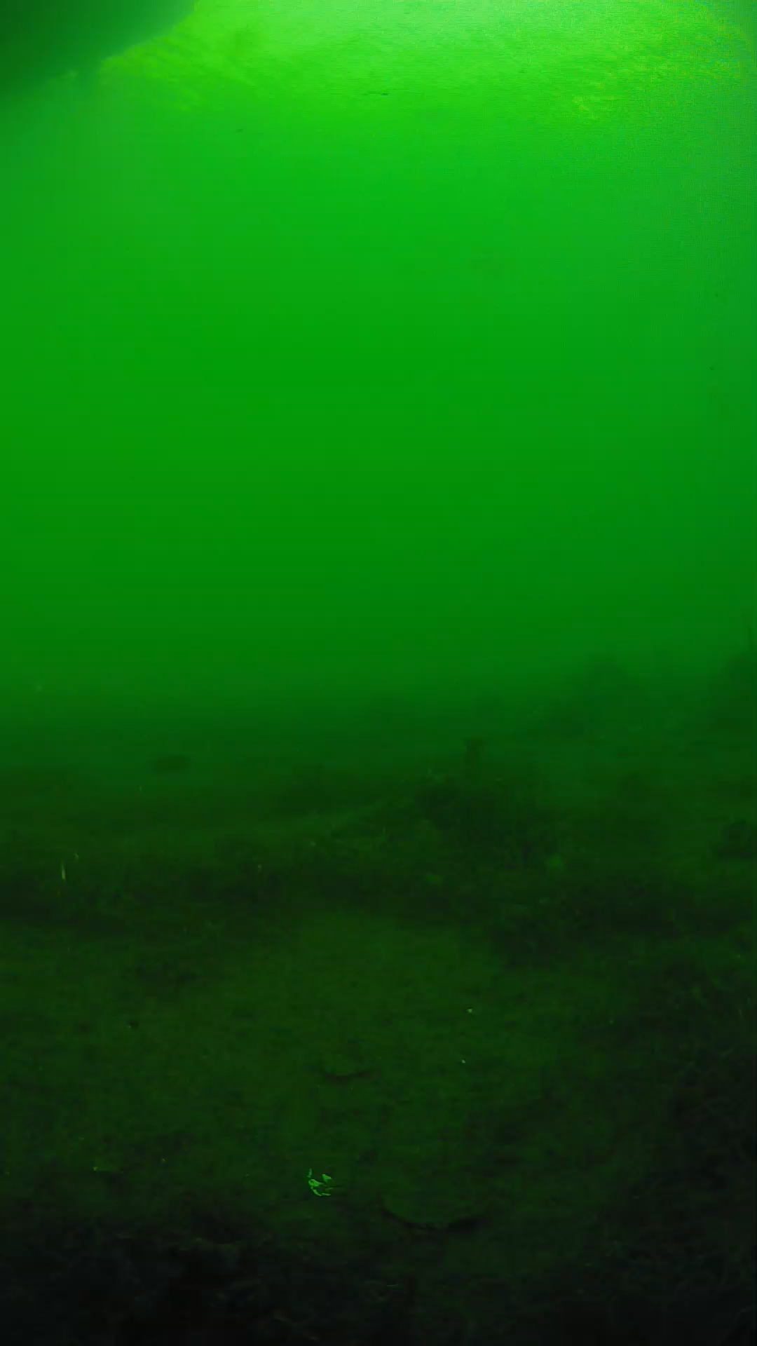lander_ipcam_20250604174614.png