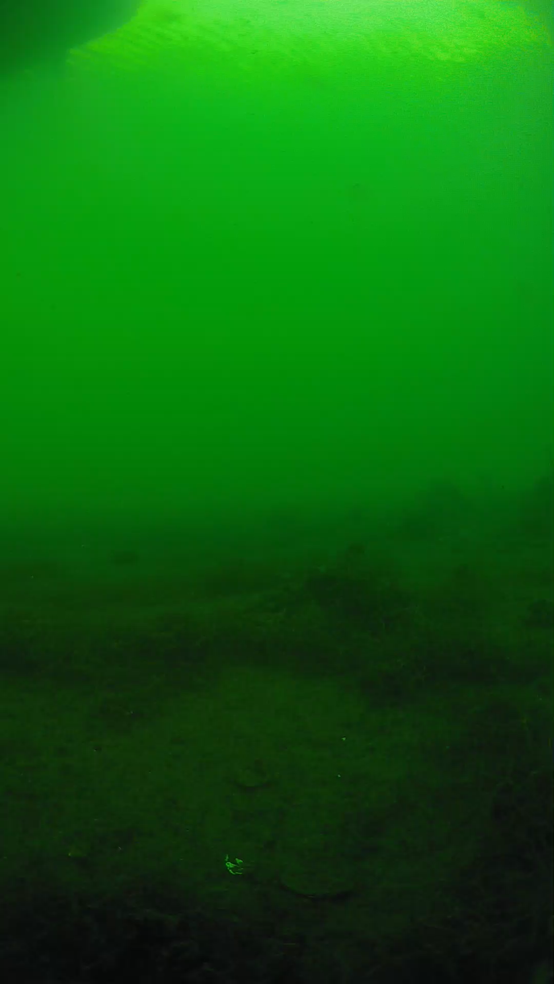 lander_ipcam_20250604174654.png