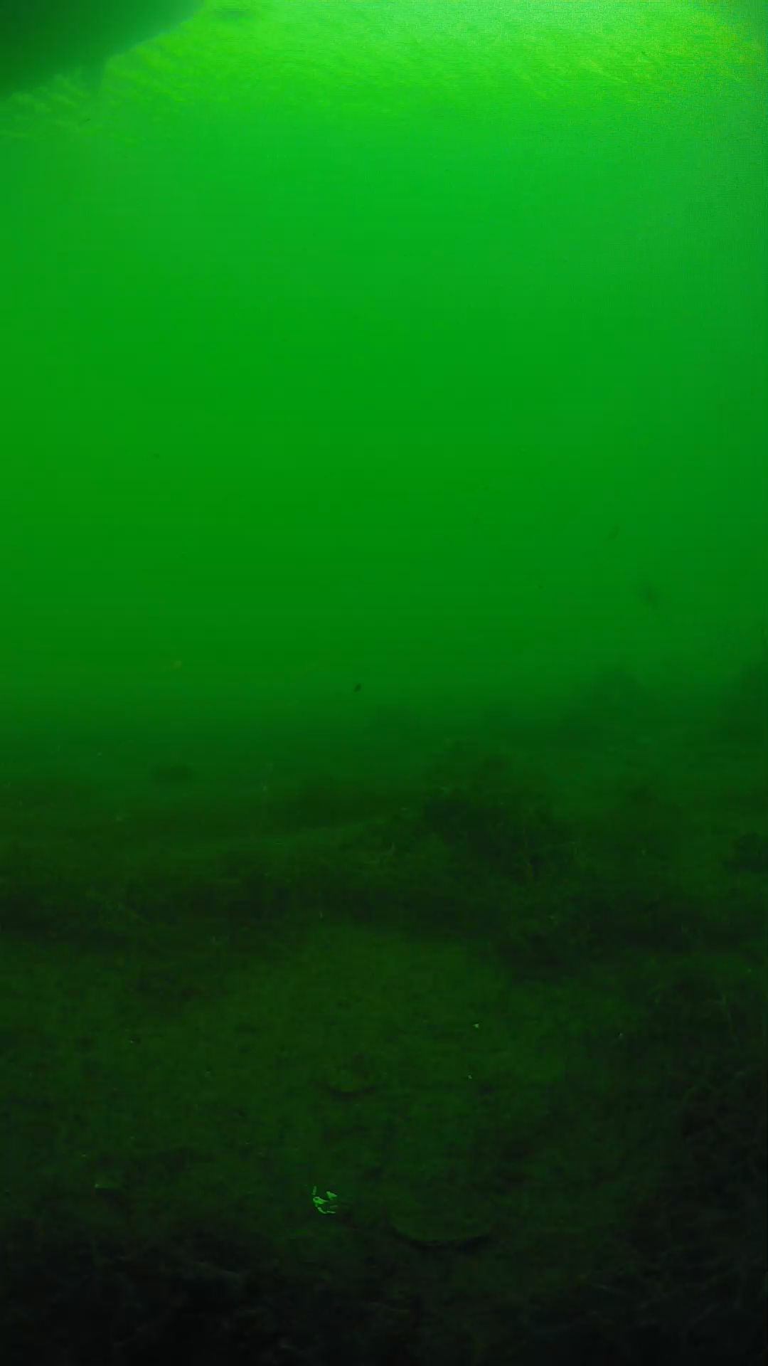 lander_ipcam_20250604180103.png