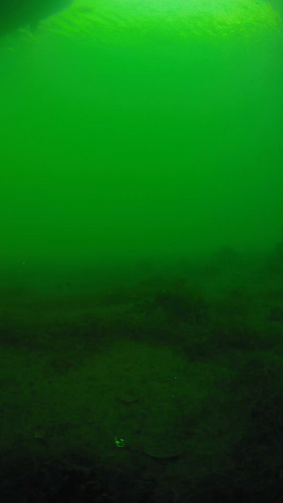 lander_ipcam_20250604180118.png
