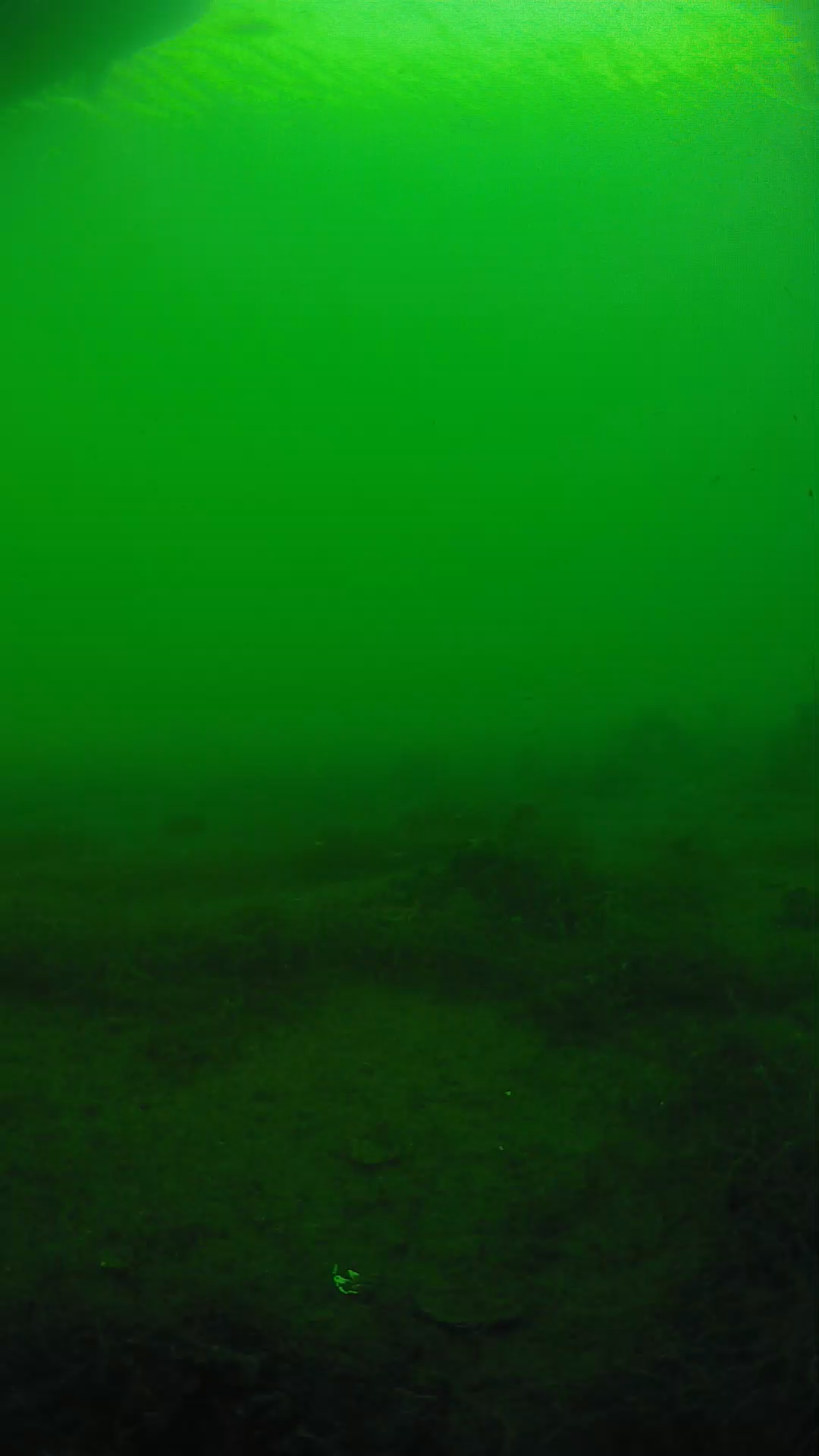 lander_ipcam_20250604180120.png