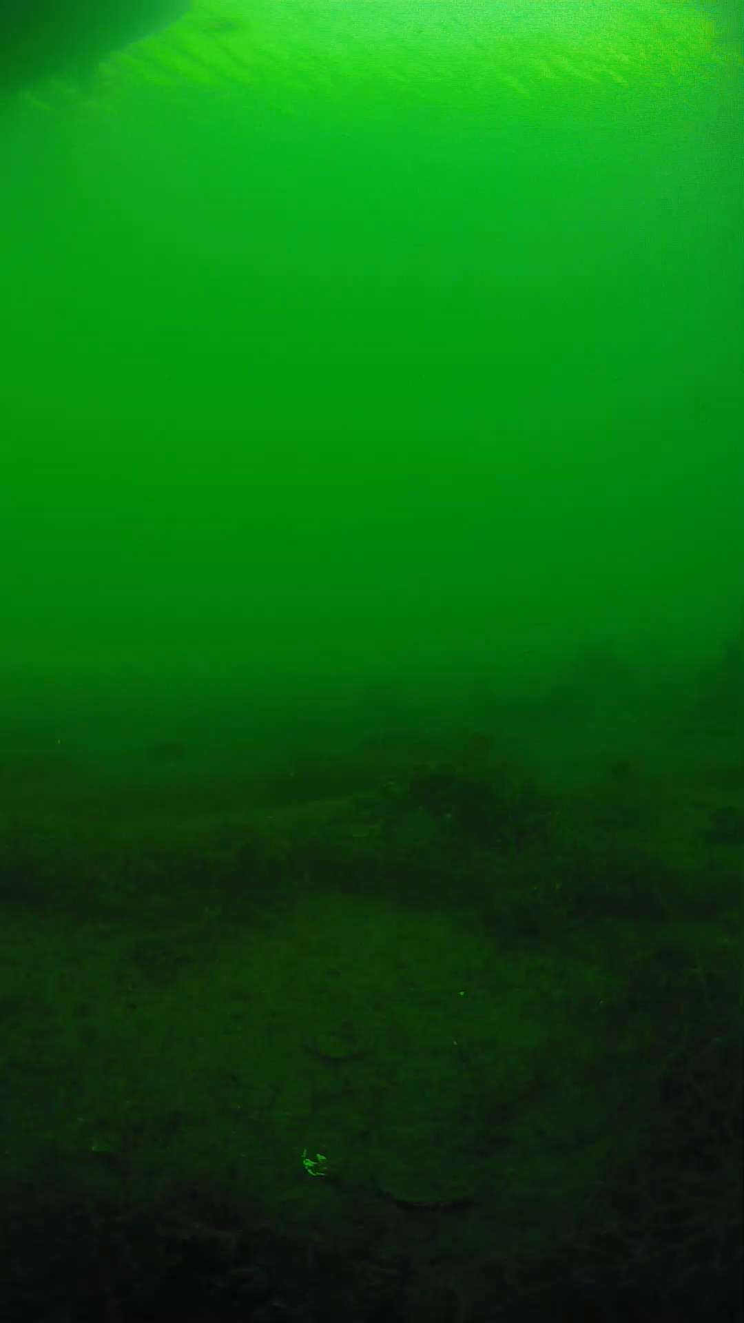 lander_ipcam_20250604180122.png