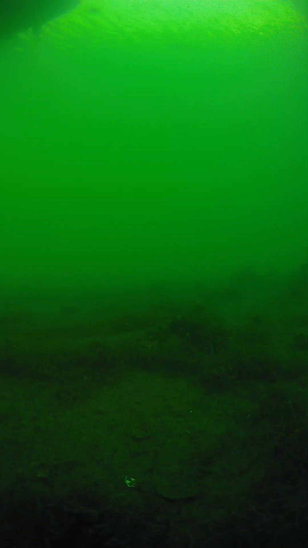 lander_ipcam_20250604180123.png