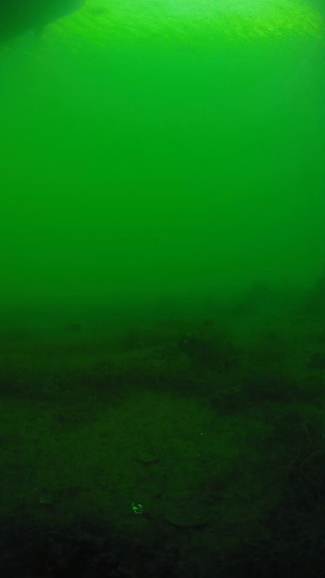 lander_ipcam_20250604180125.png