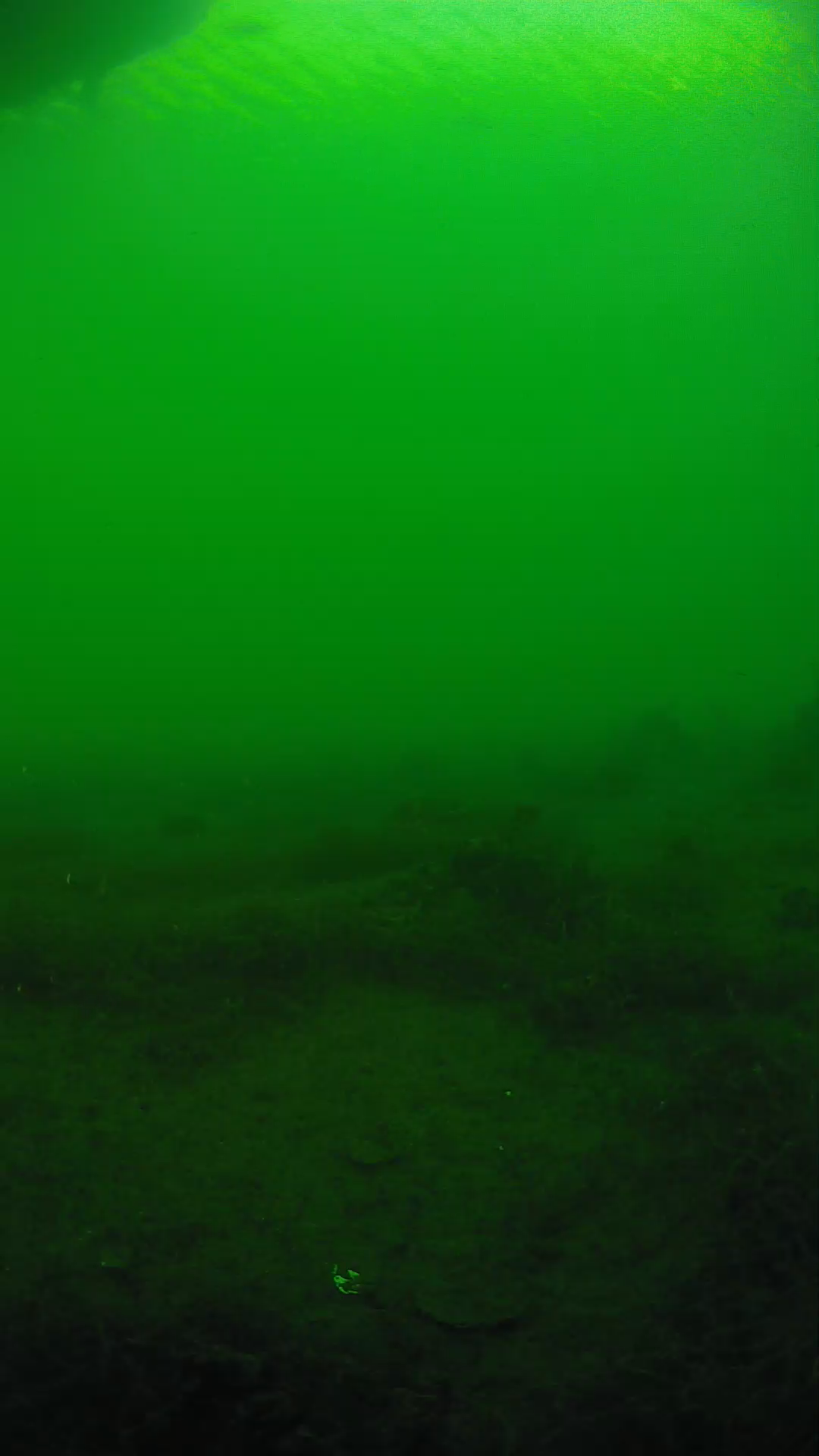 lander_ipcam_20250604180130.png