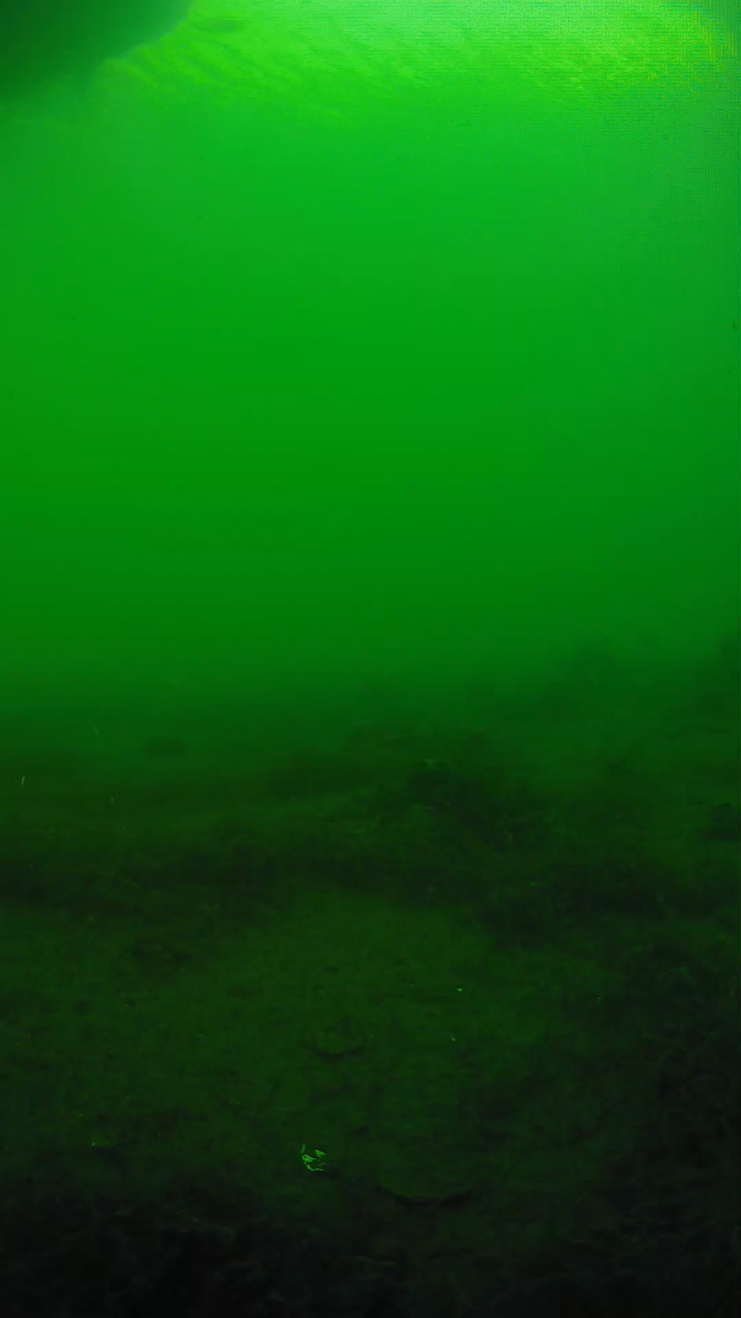 lander_ipcam_20250604180132.png