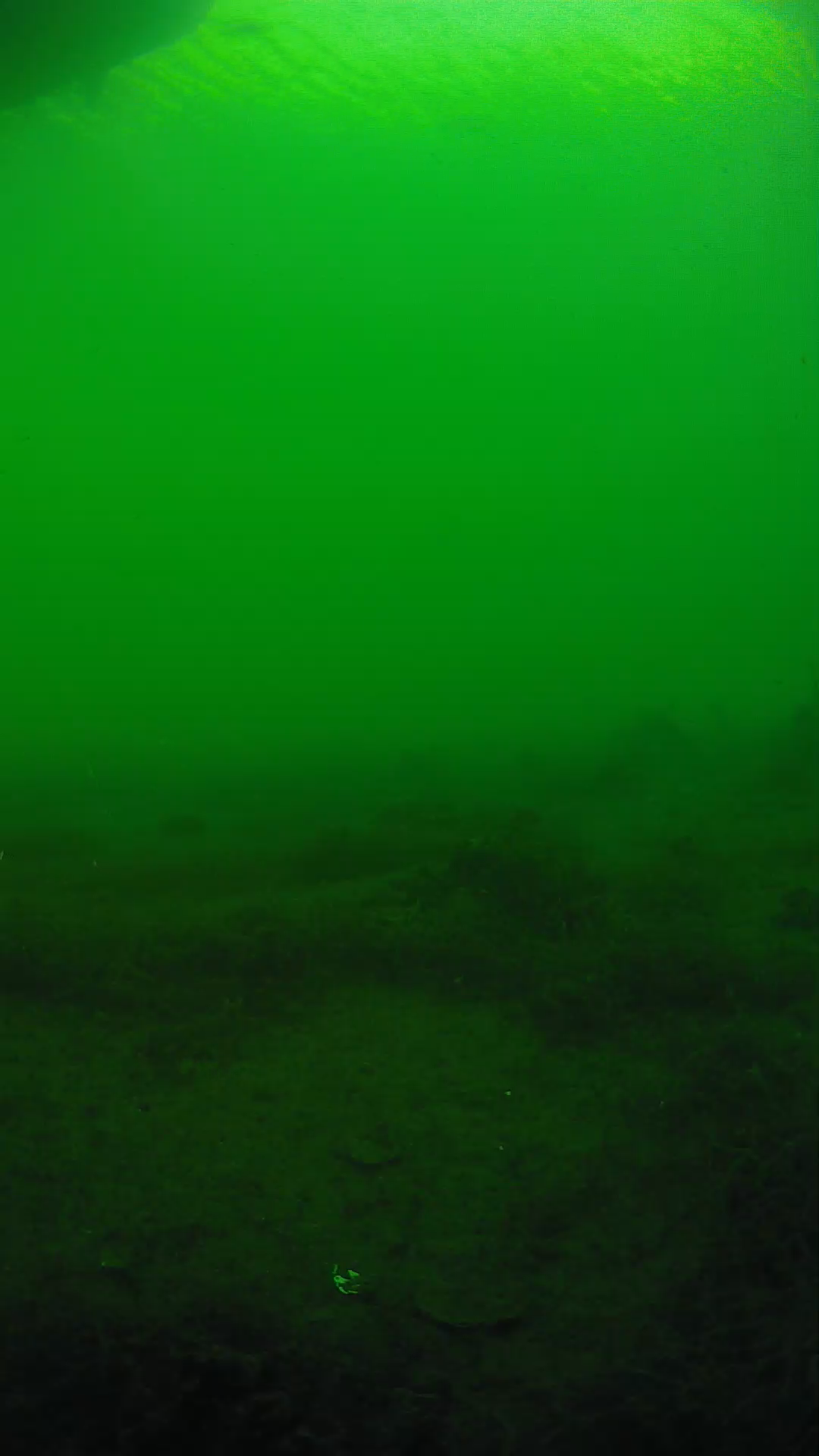 lander_ipcam_20250604180133.png