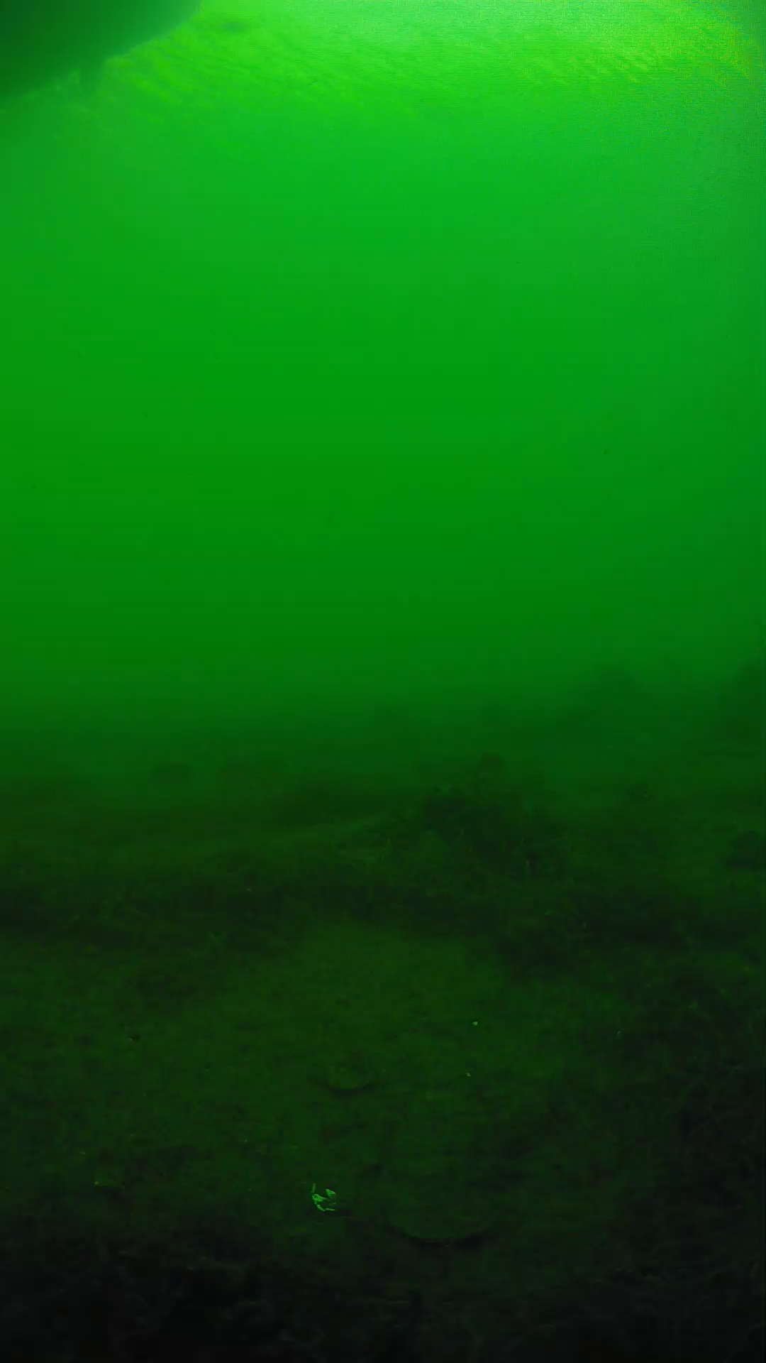lander_ipcam_20250604180145.png