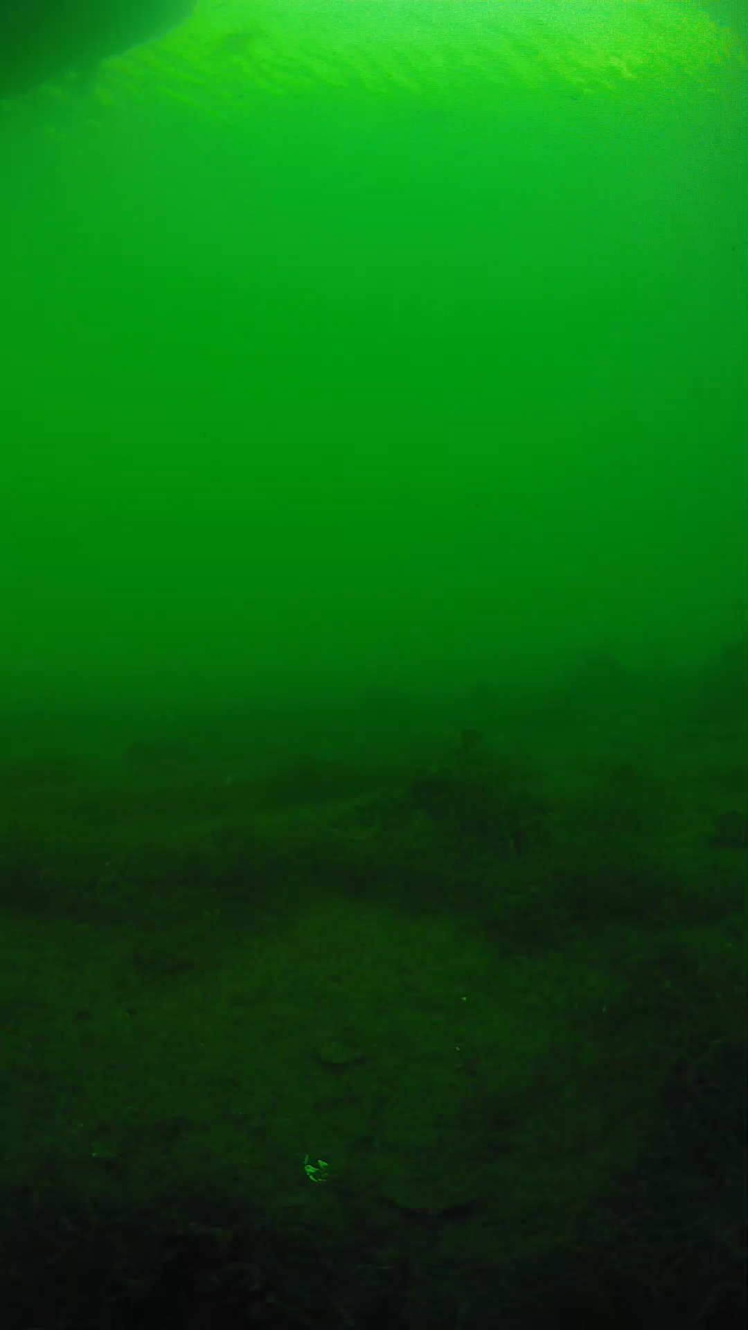 lander_ipcam_20250604180153.png