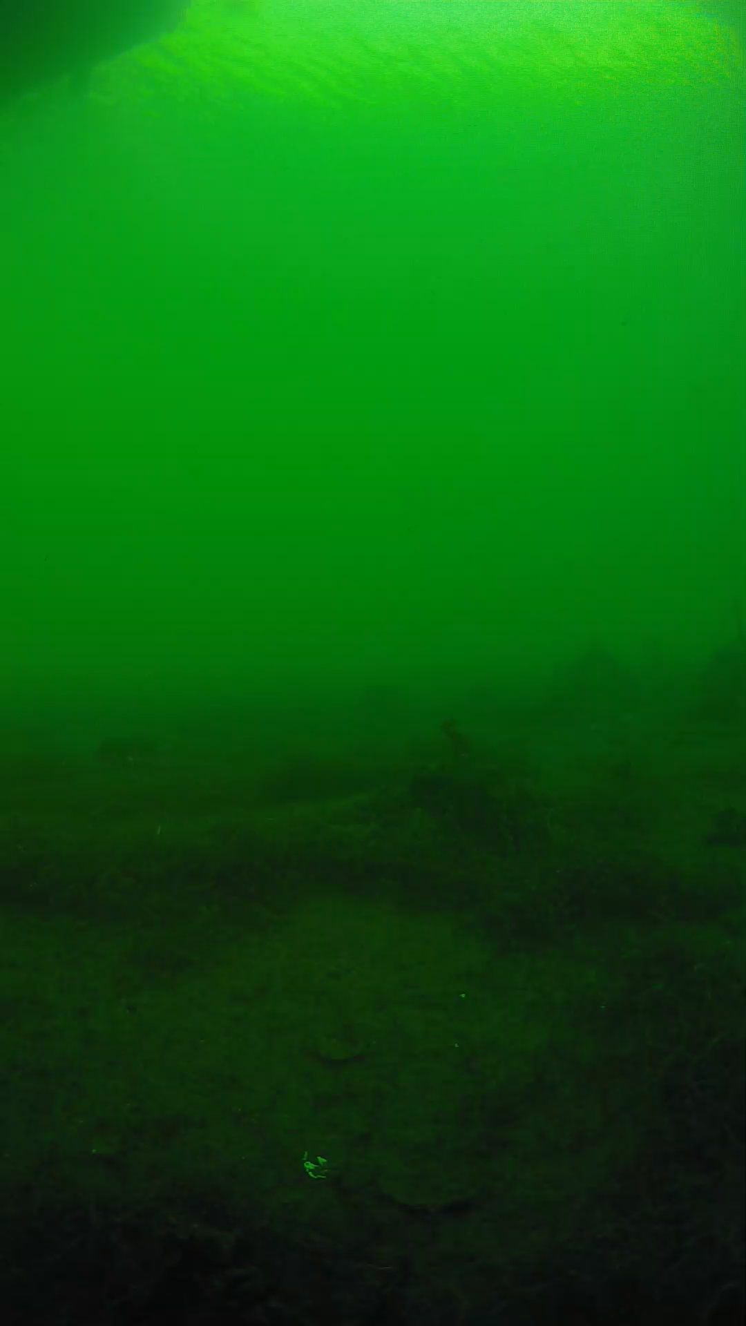 lander_ipcam_20250604180155.png
