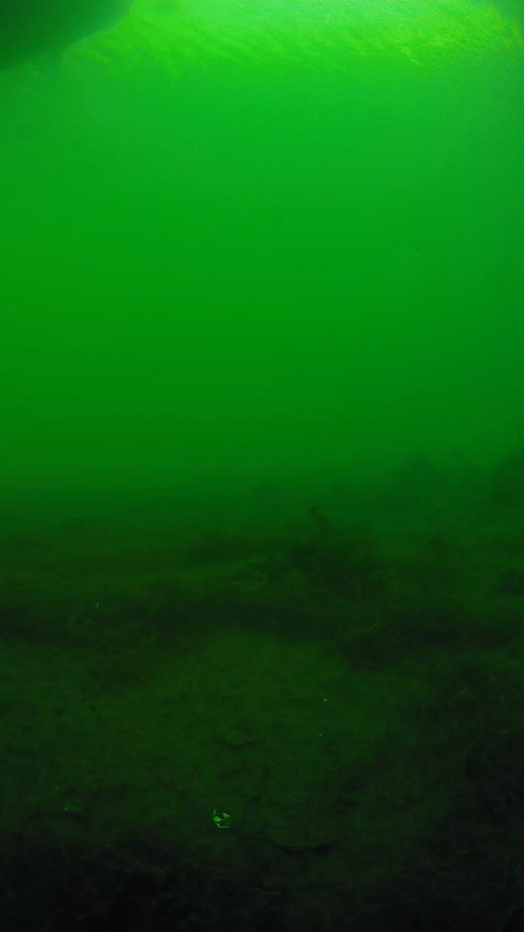 lander_ipcam_20250604180156.png