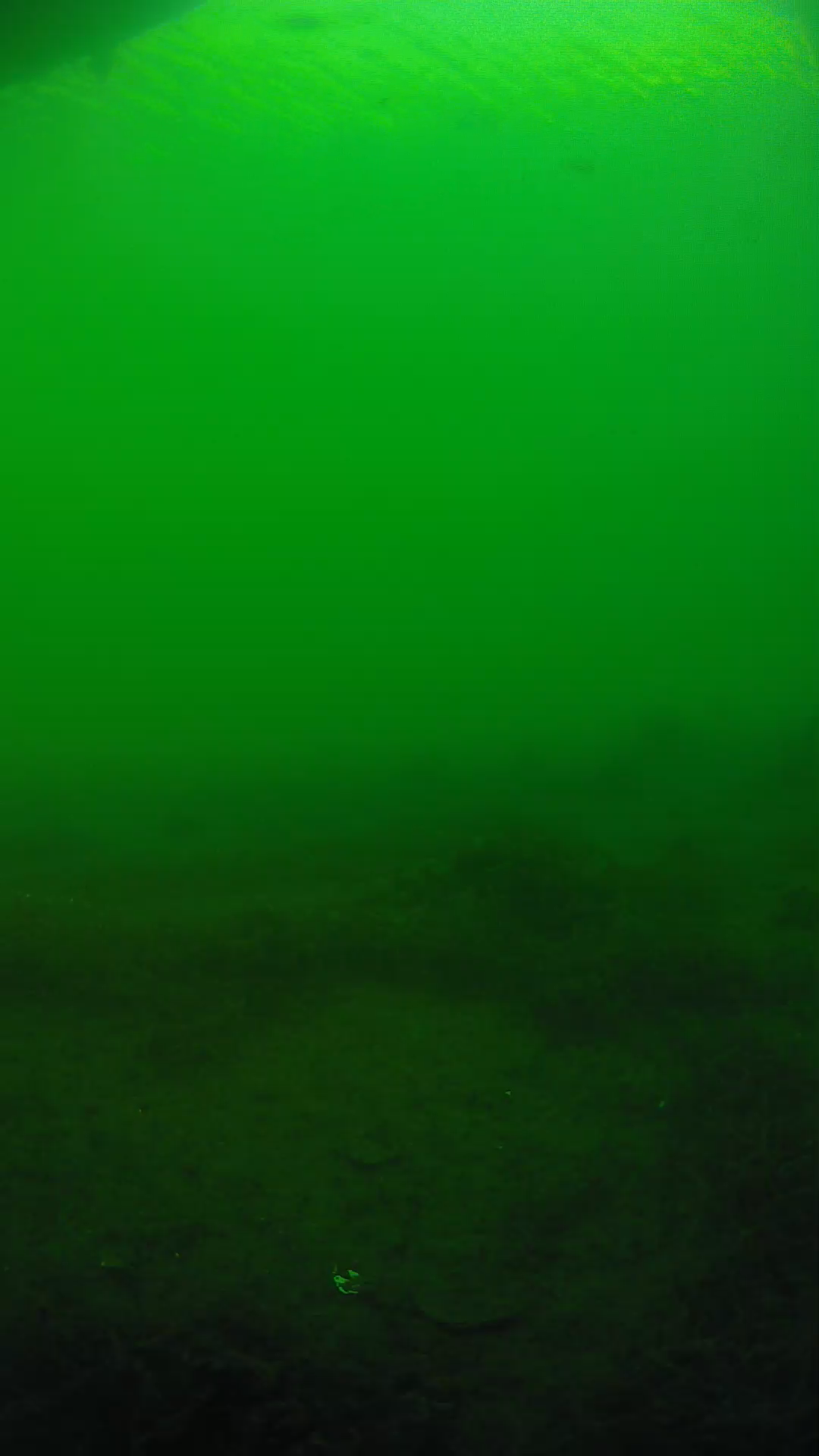 lander_ipcam_20250604181625.png