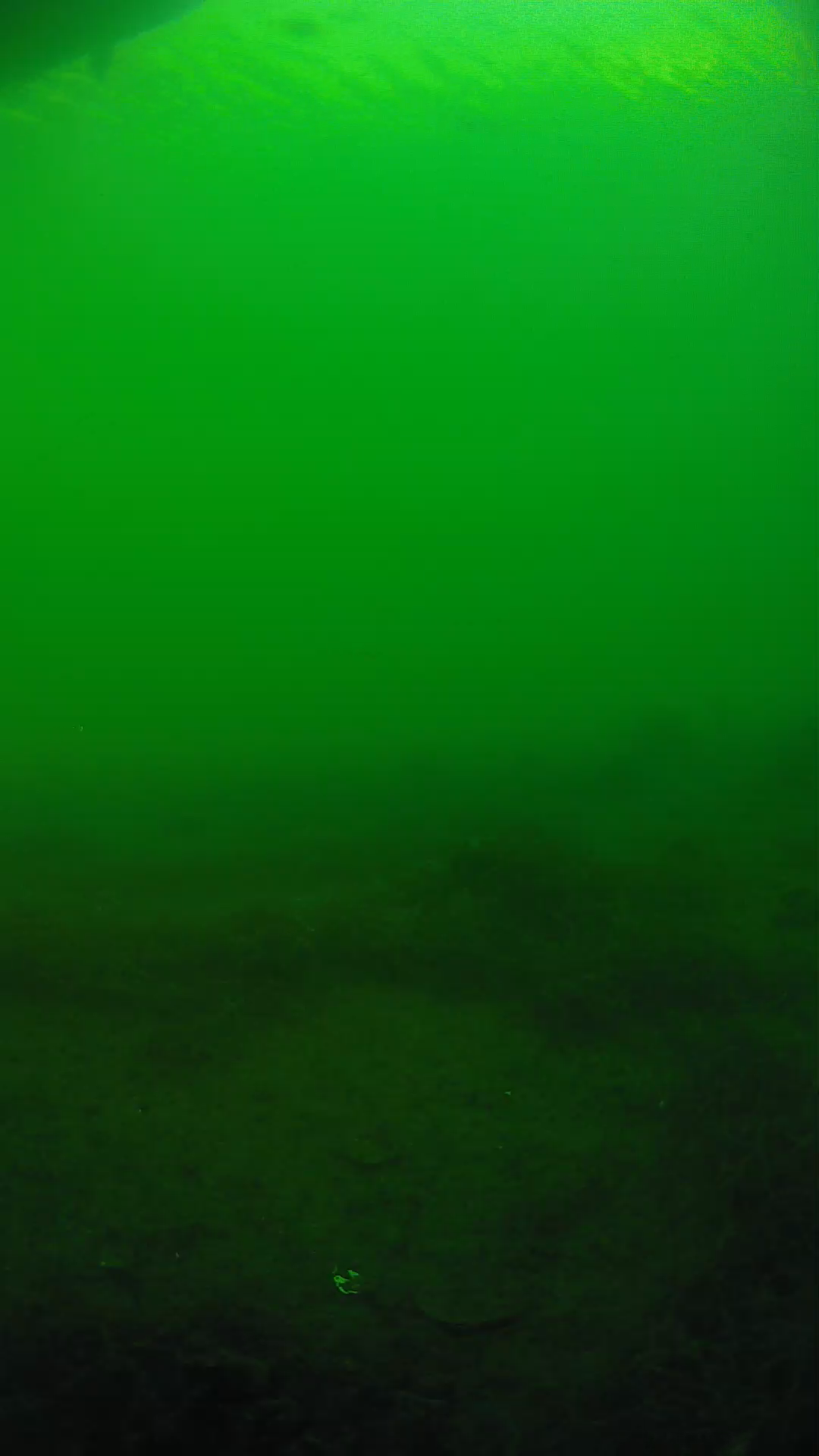lander_ipcam_20250604181630.png