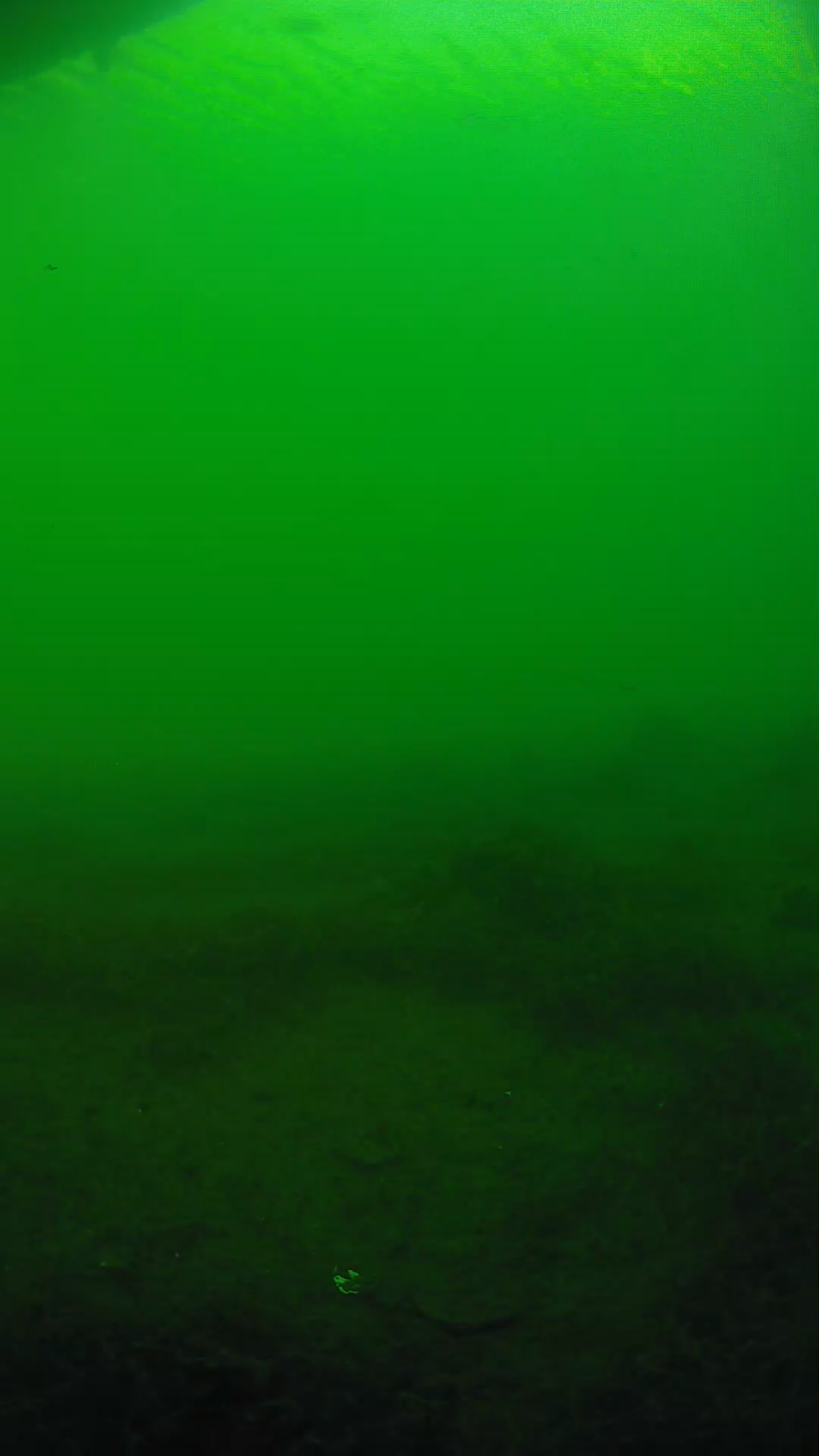 lander_ipcam_20250604181632.png