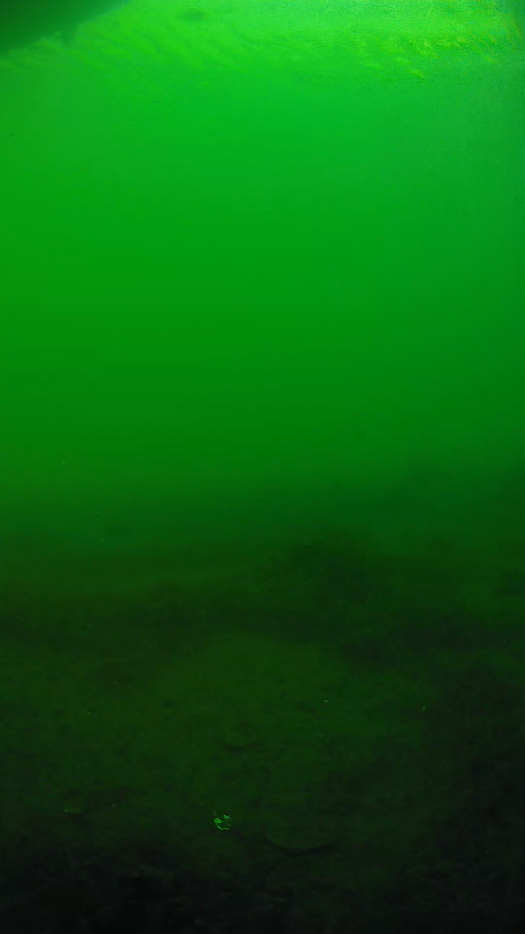 lander_ipcam_20250604181654.png