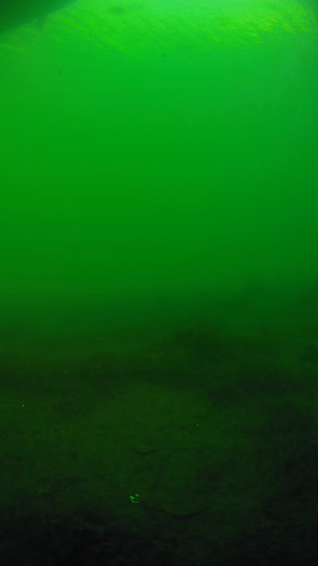 lander_ipcam_20250604181656.png