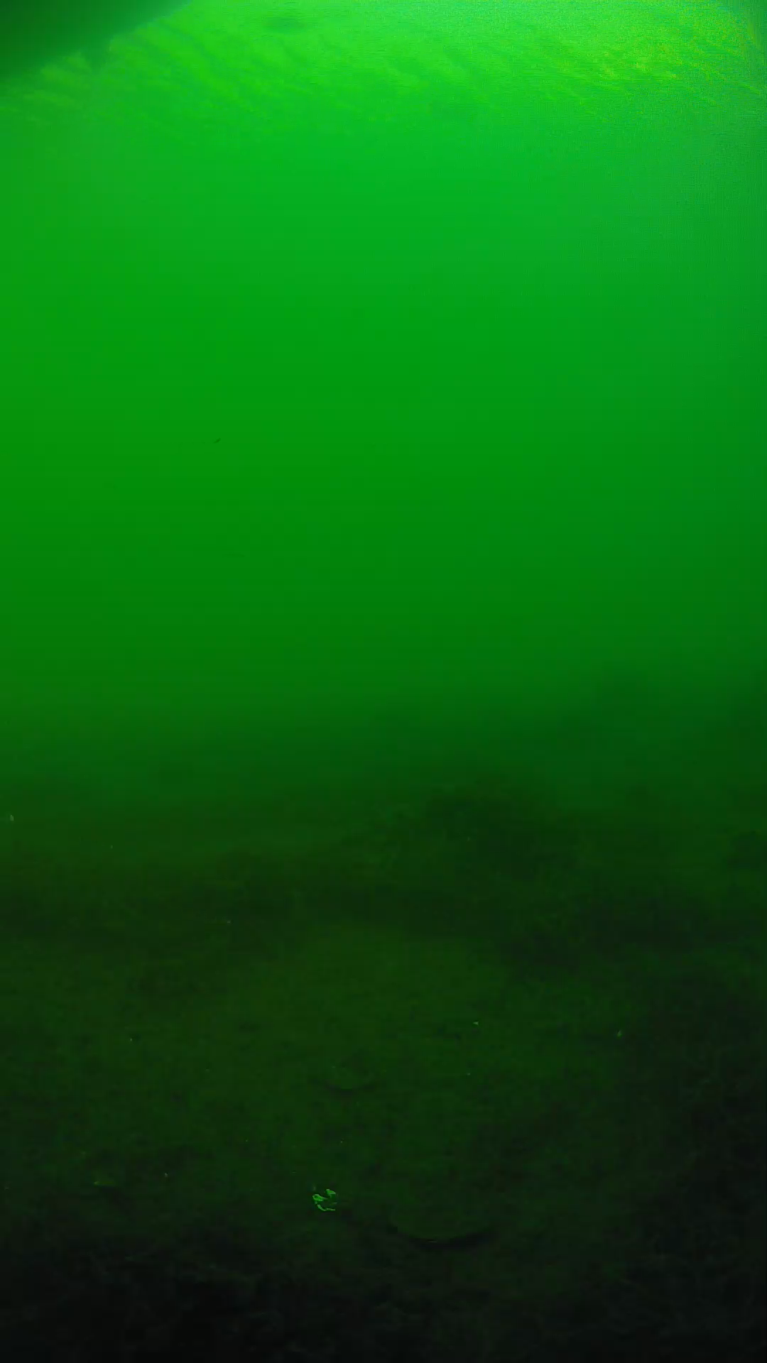 lander_ipcam_20250604181700.png