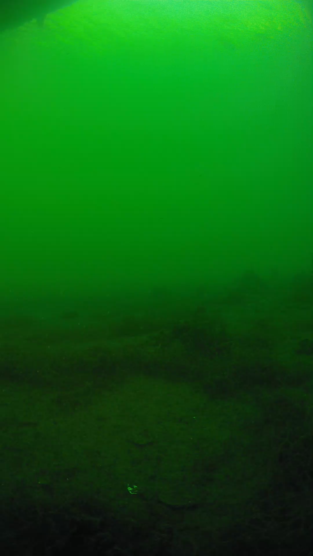 lander_ipcam_20250604183152.png