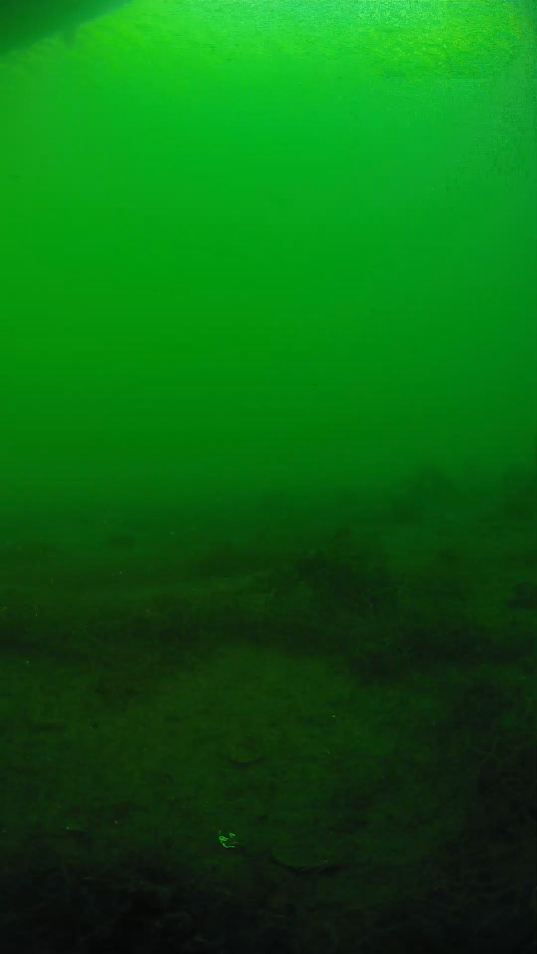 lander_ipcam_20250604183156.png