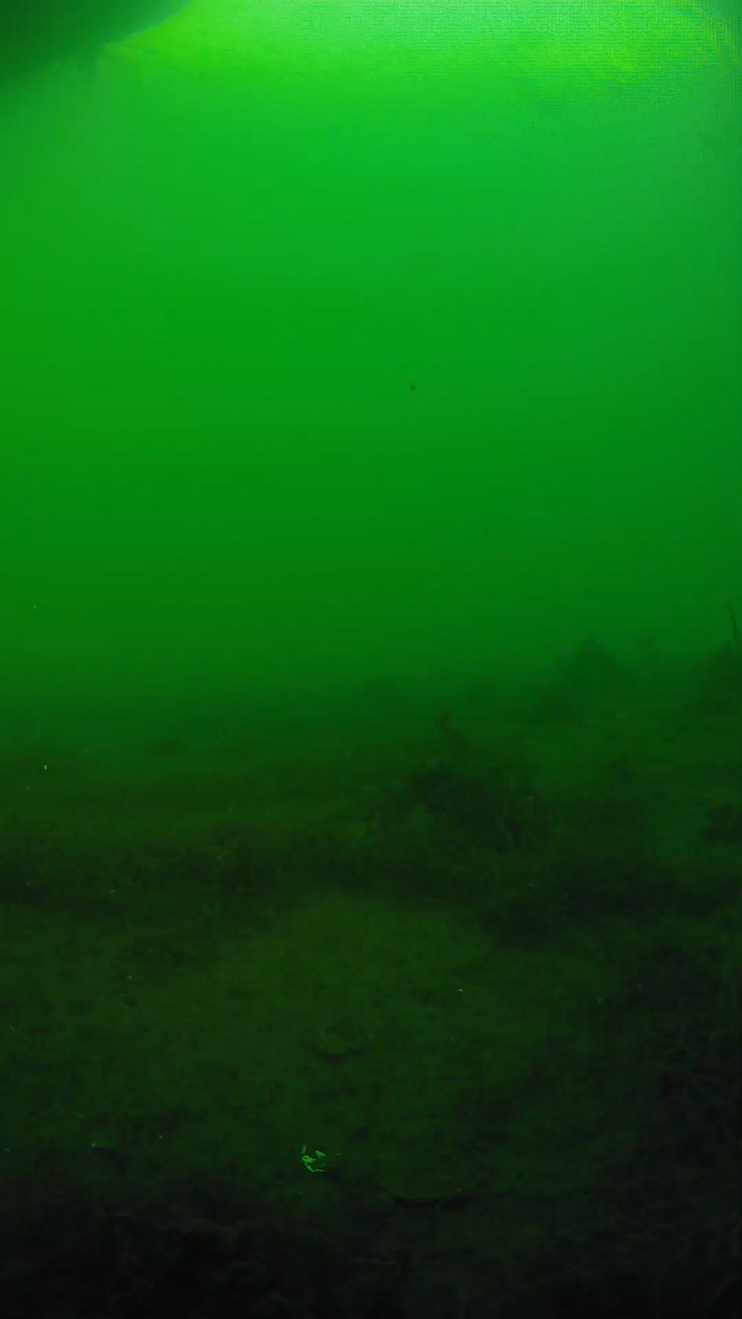 lander_ipcam_20250604184630.png