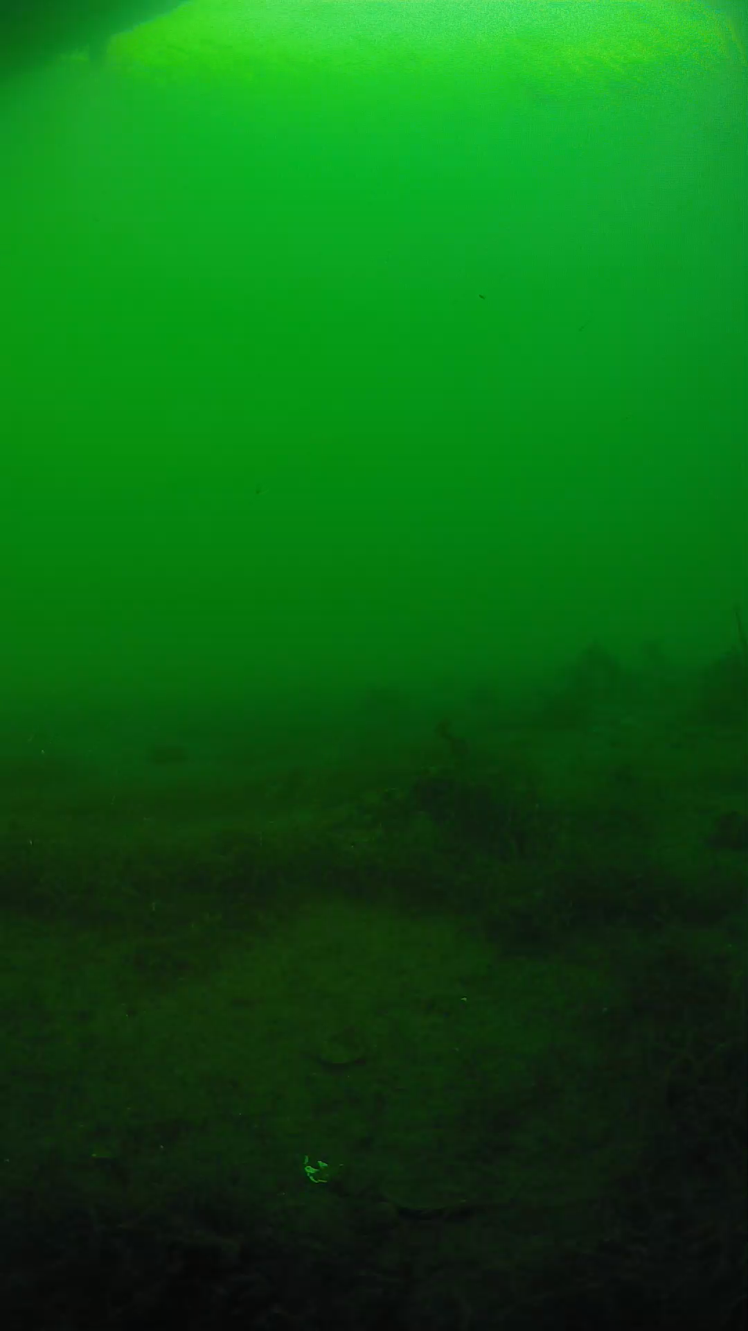 lander_ipcam_20250604184637.png