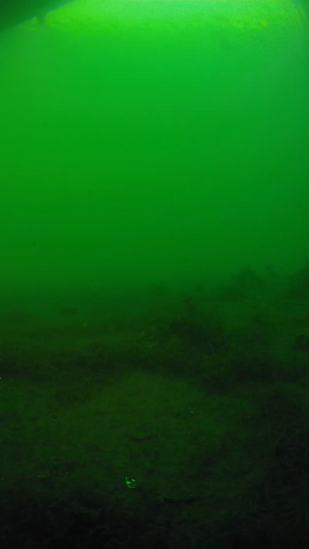 lander_ipcam_20250604184652.png