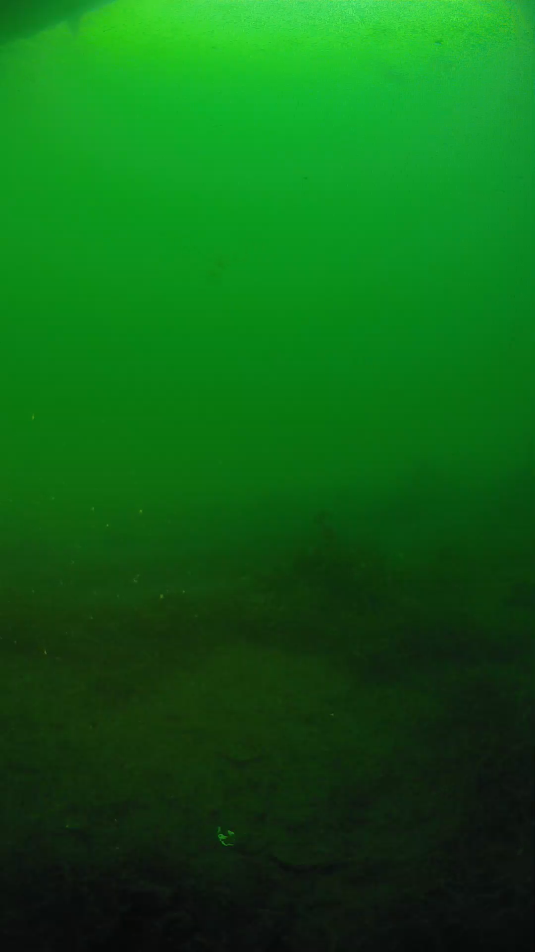 lander_ipcam_20250604190105.png