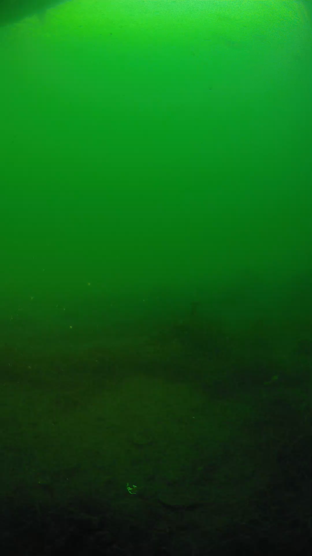 lander_ipcam_20250604190131.png