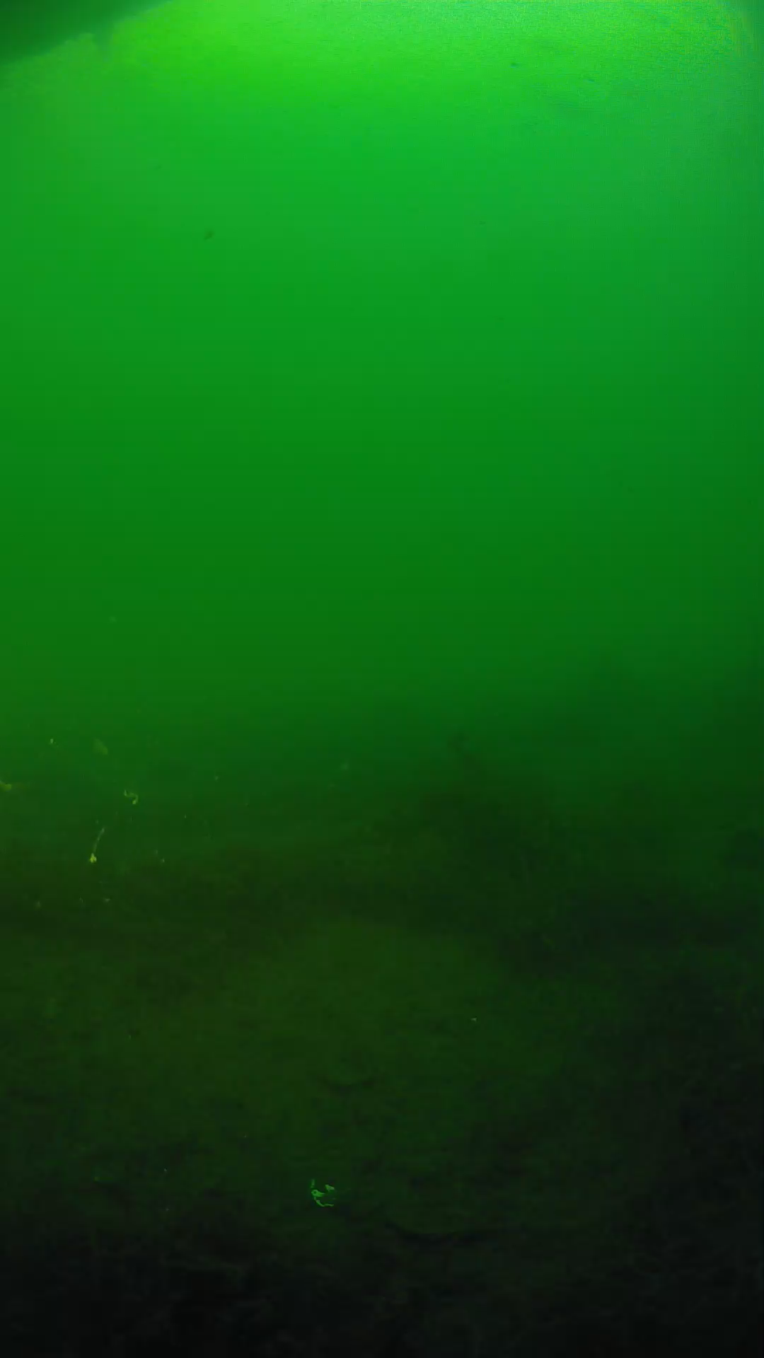 lander_ipcam_20250604190156.png