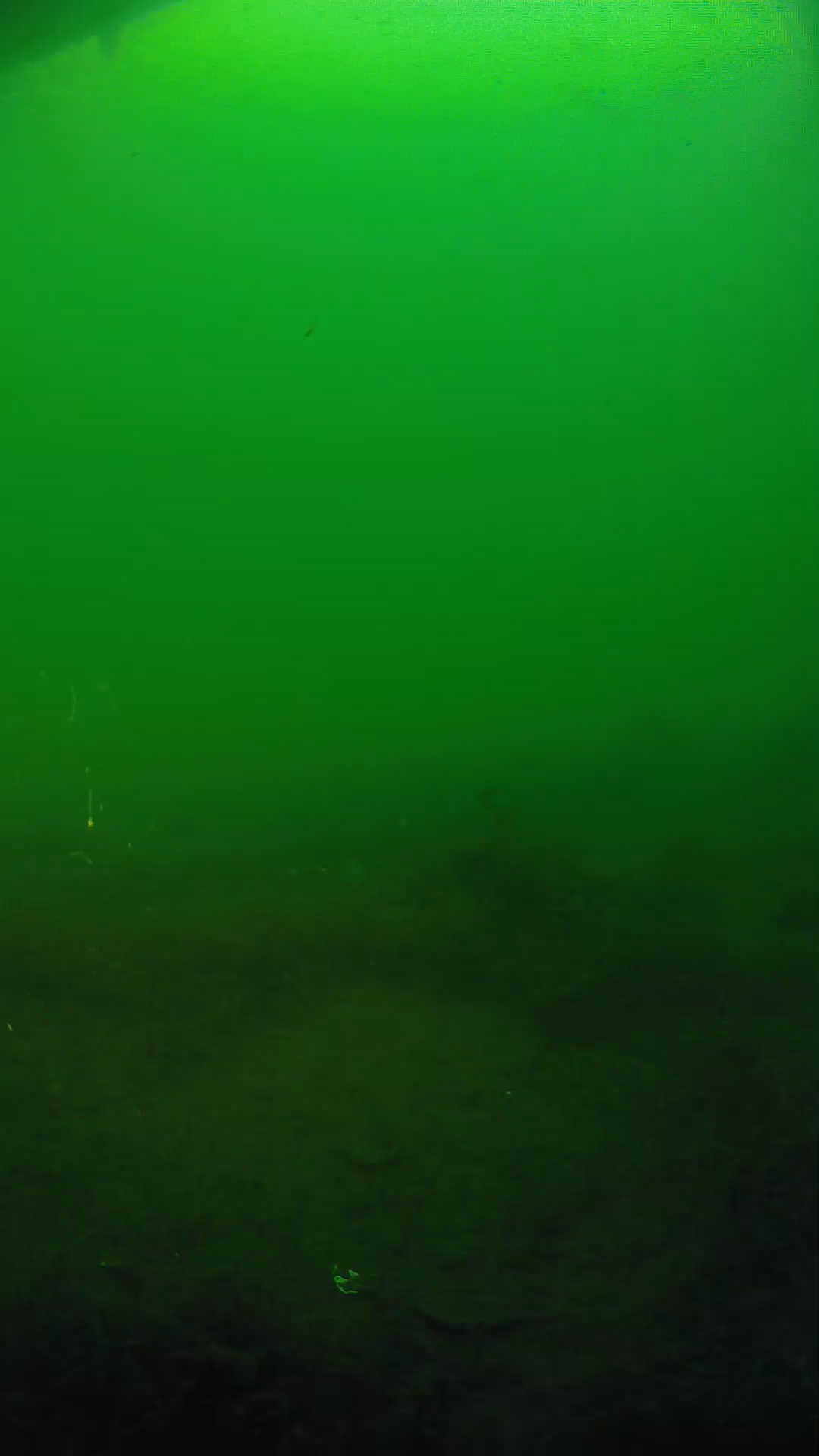 lander_ipcam_20250604190200.png