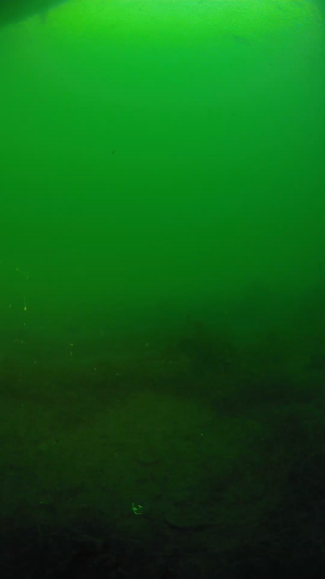 lander_ipcam_20250604190202.png