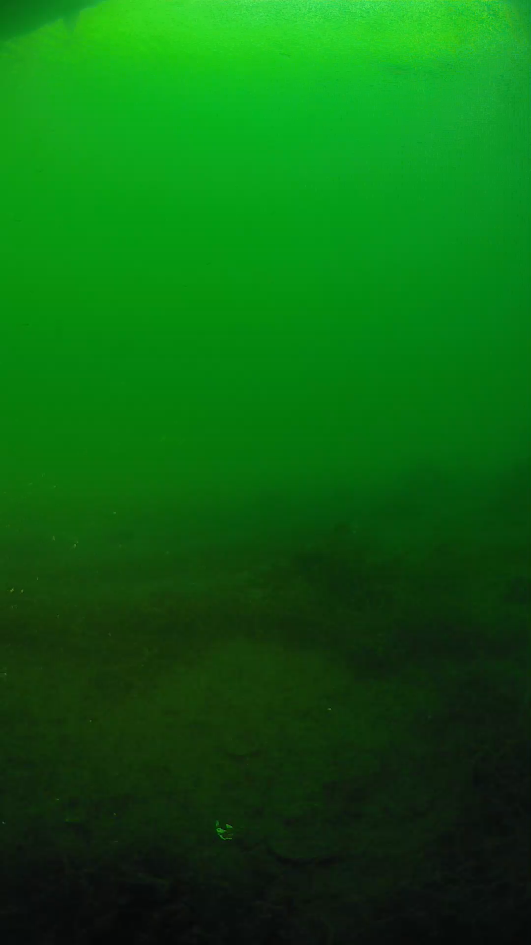 lander_ipcam_20250604191604.png