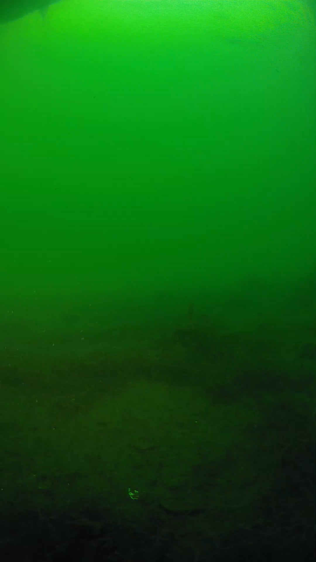 lander_ipcam_20250604191607.png