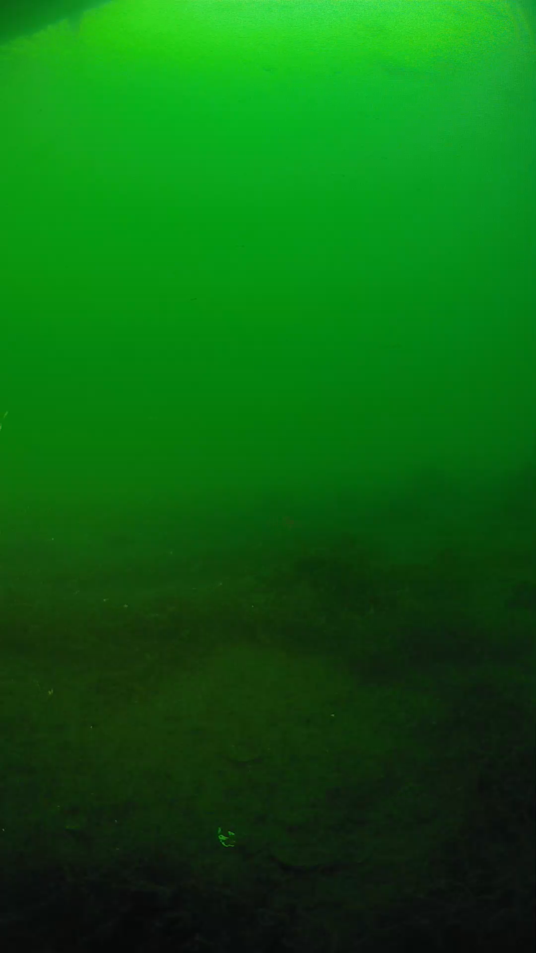 lander_ipcam_20250604191617.png