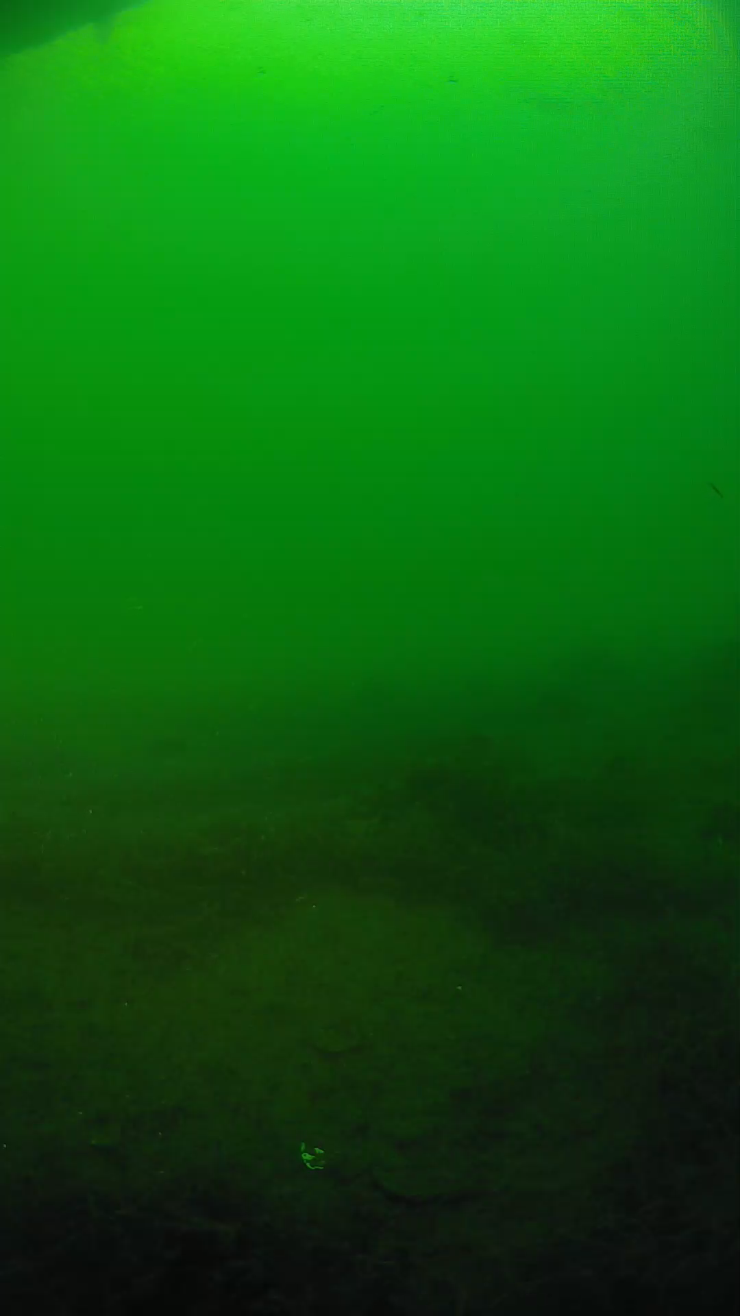 lander_ipcam_20250604191638.png