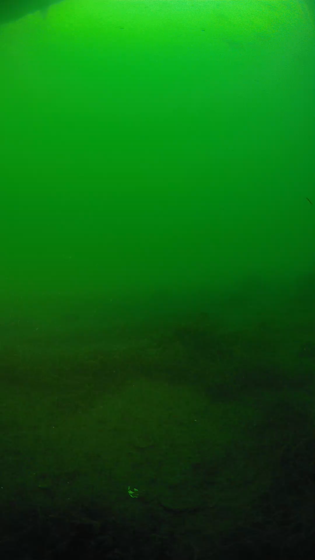 lander_ipcam_20250604191639.png