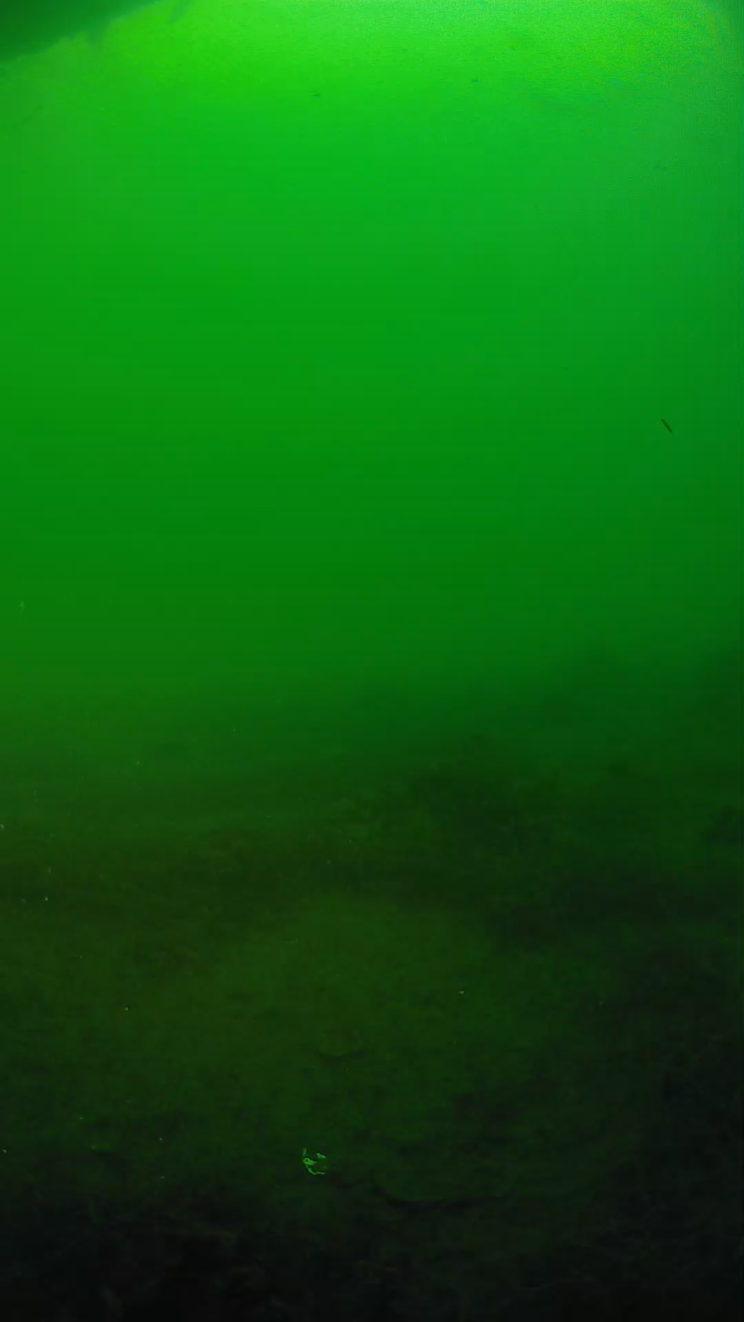 lander_ipcam_20250604191643.png