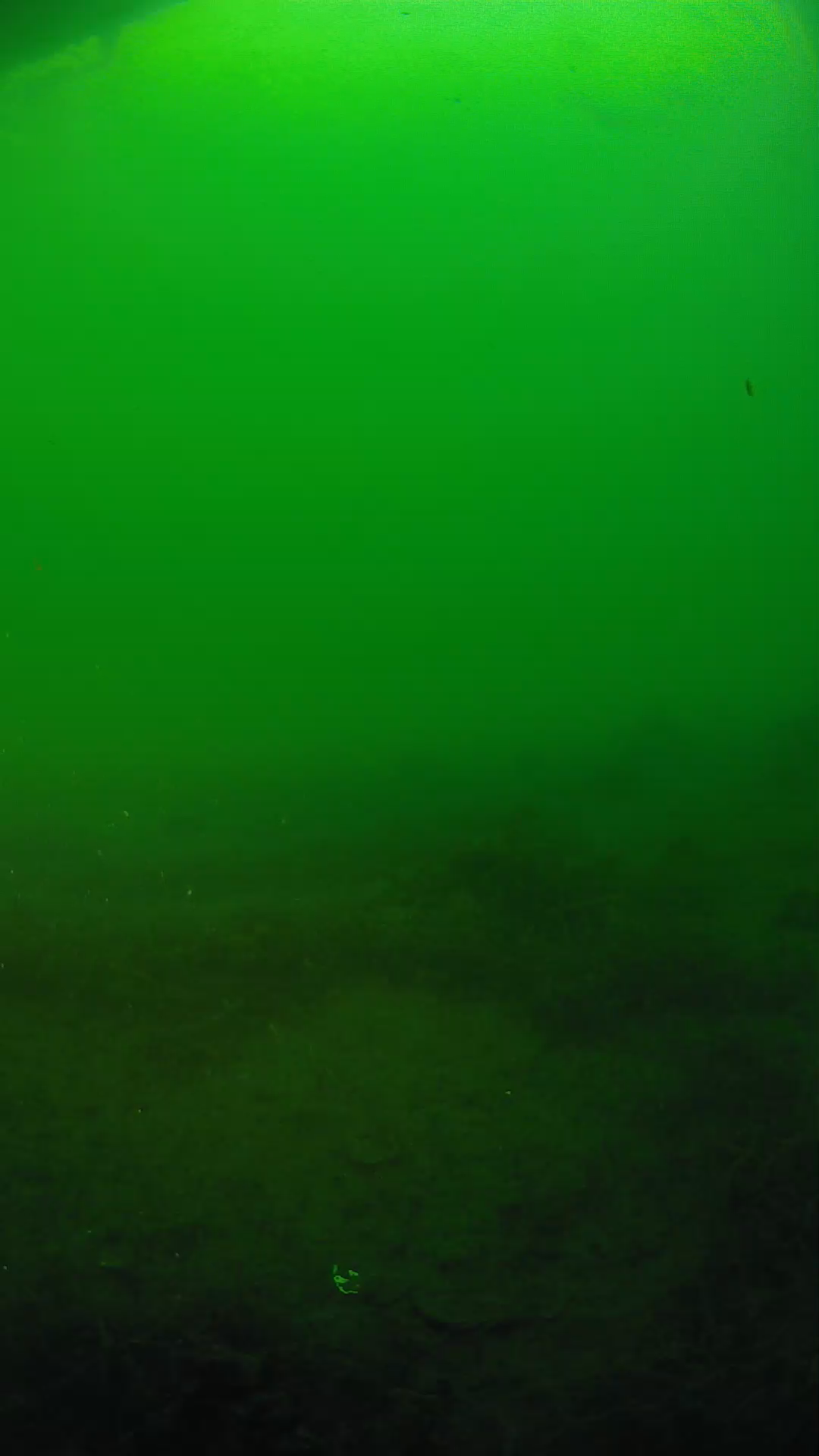 lander_ipcam_20250604191651.png