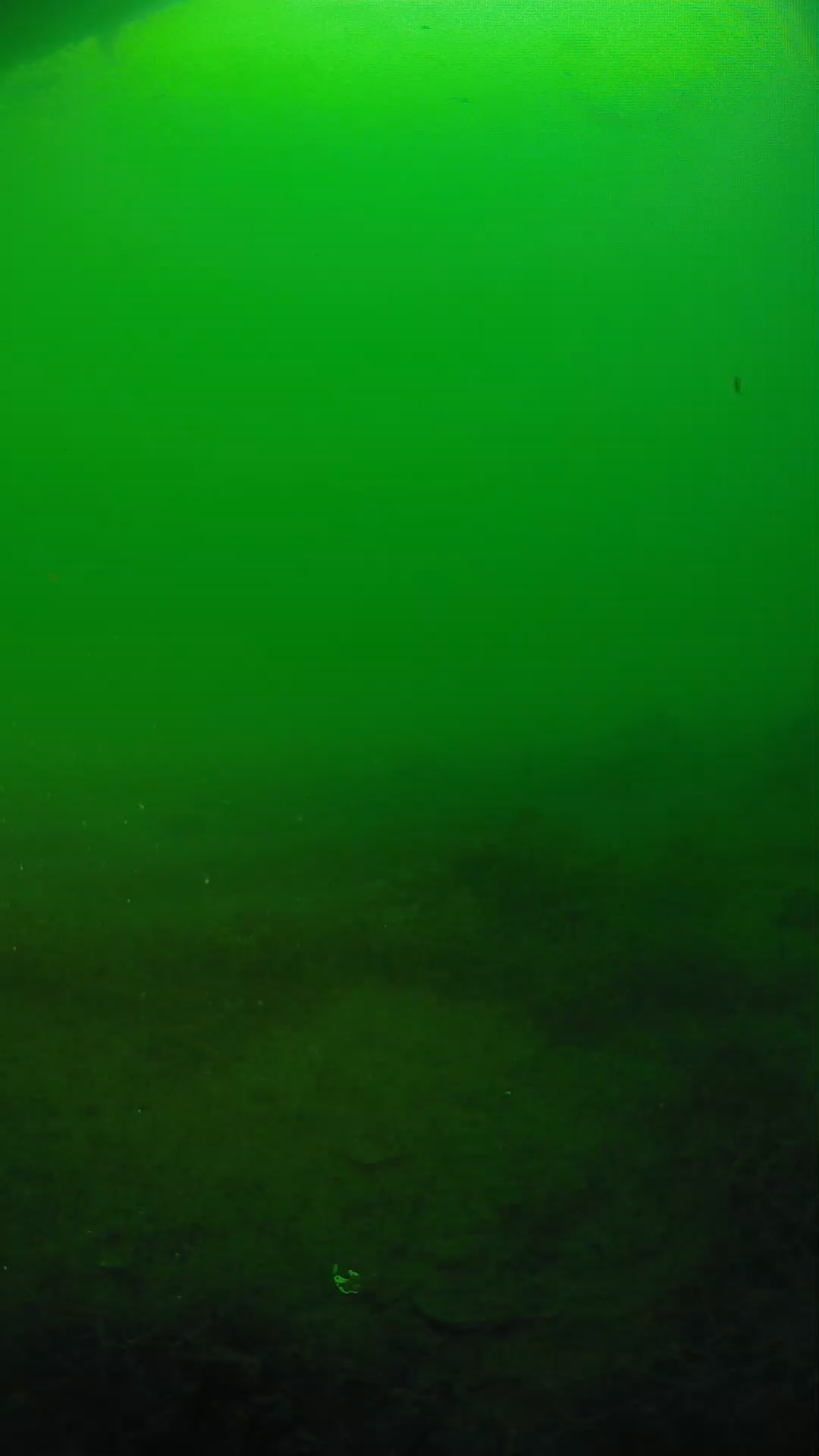 lander_ipcam_20250604191652.png