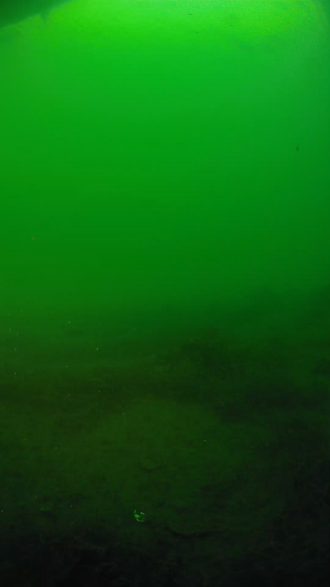 lander_ipcam_20250604191654.png