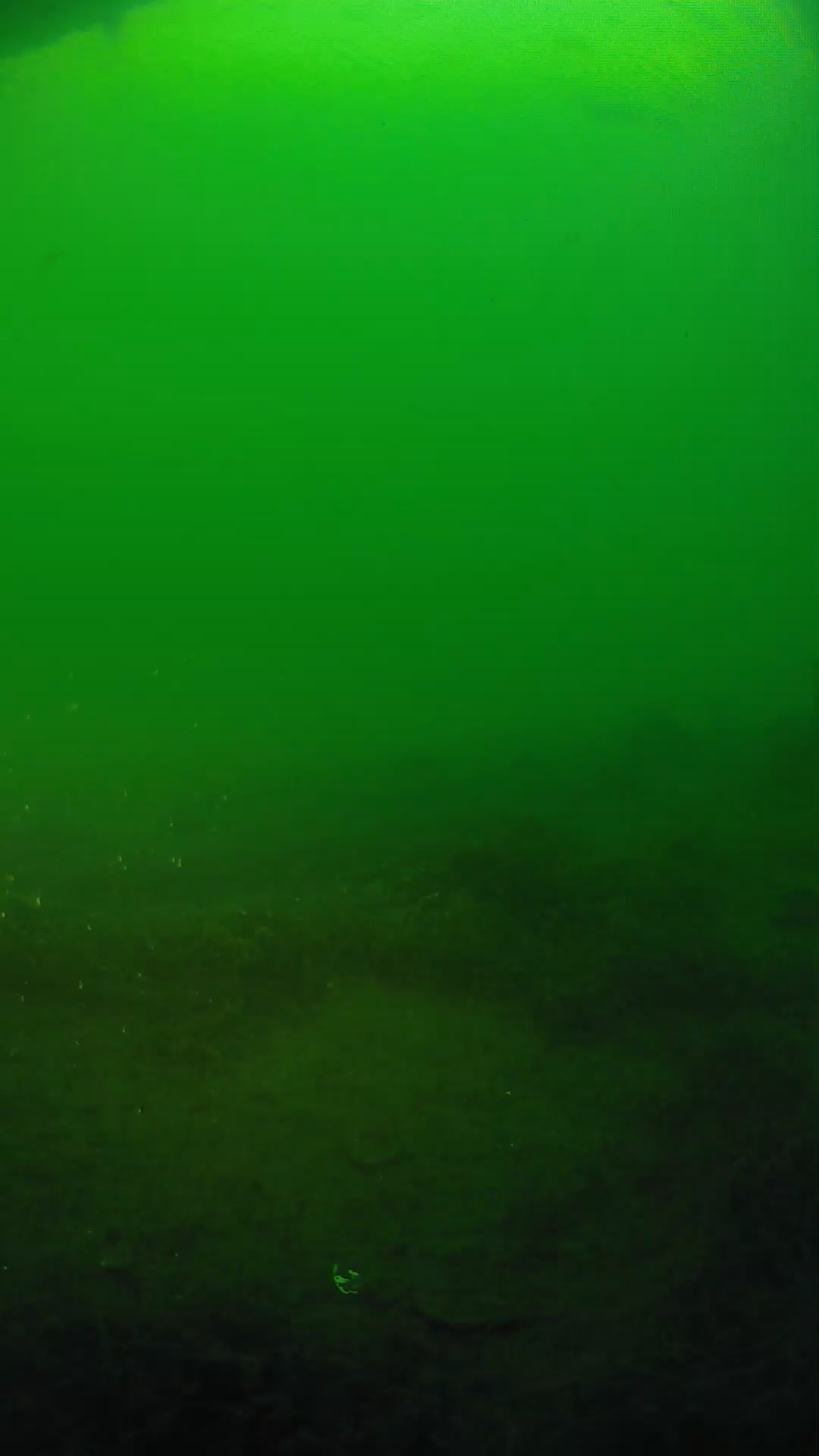 lander_ipcam_20250604193158.png